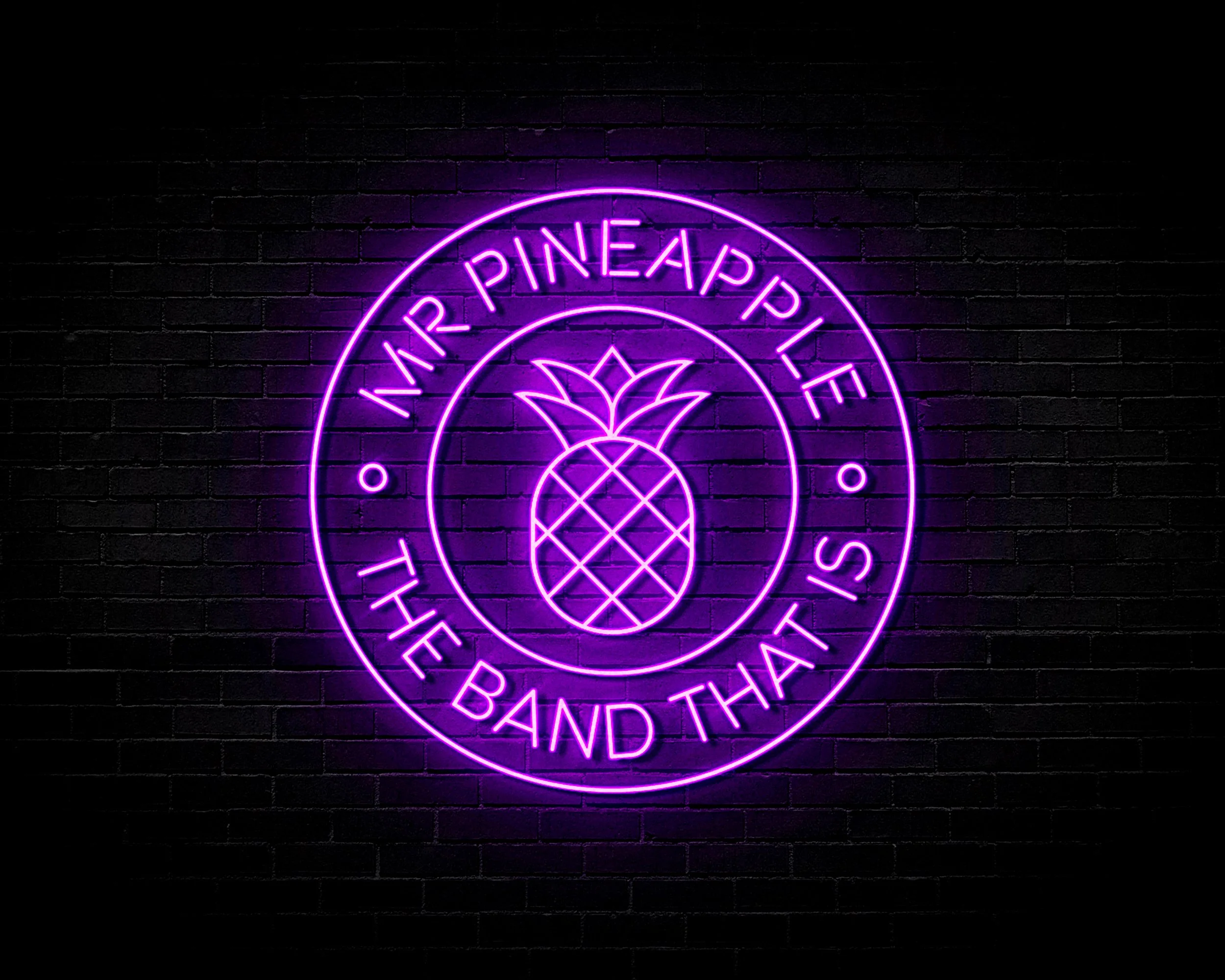 Mr Pineapple Logo