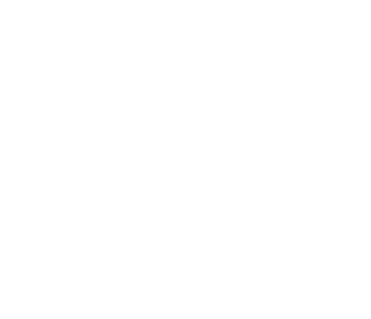 The Paradox Twin logo