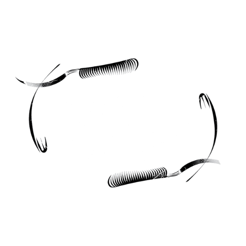 Beyond The Clippers