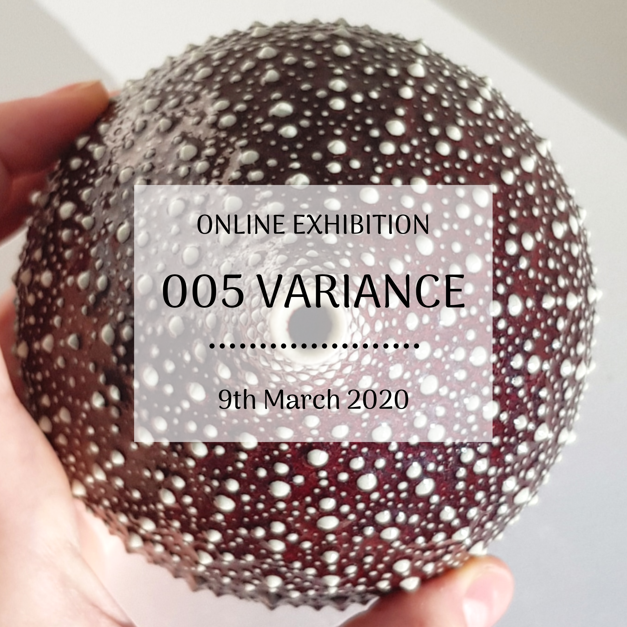 005 VARIANCE