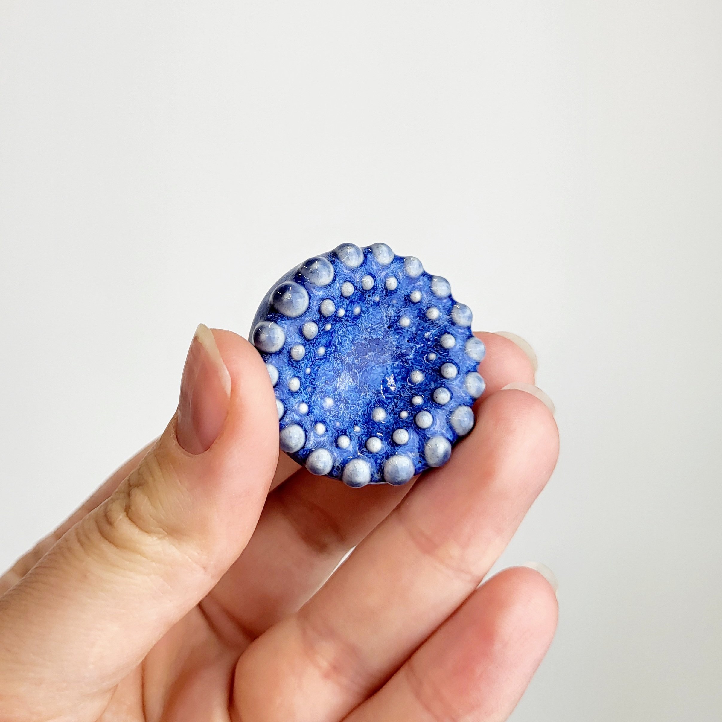 processed_e66a40e5ec624ea9be95dc66997daa67.jpeg