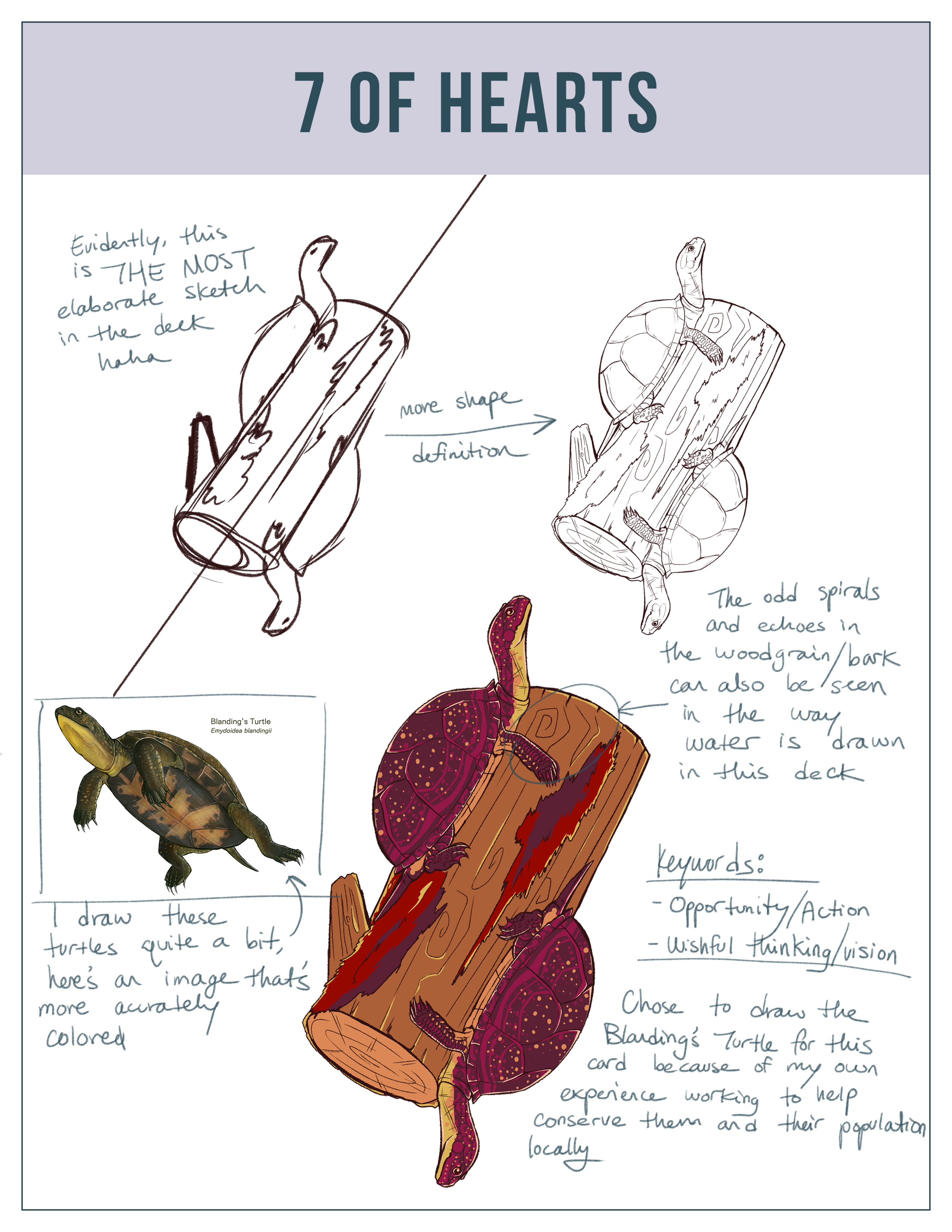 sketchbook7hear.png