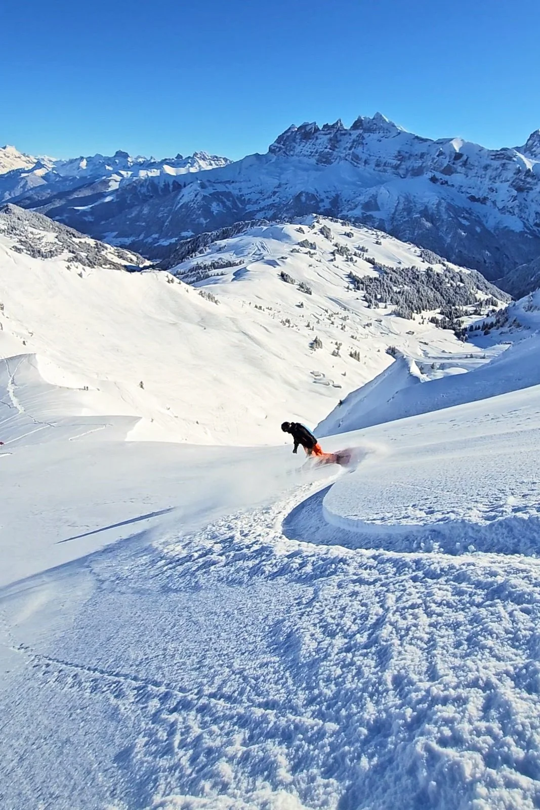 powder_dents_backdrop.jpg