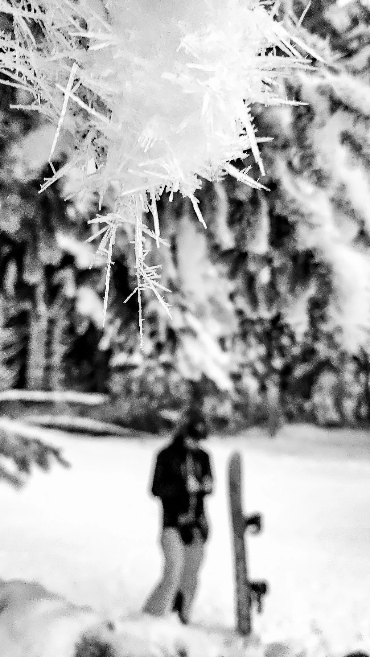 hoar_frost_frame.jpg