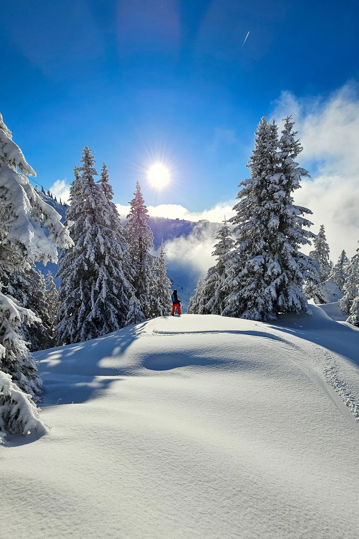 chatel_powder.jpg