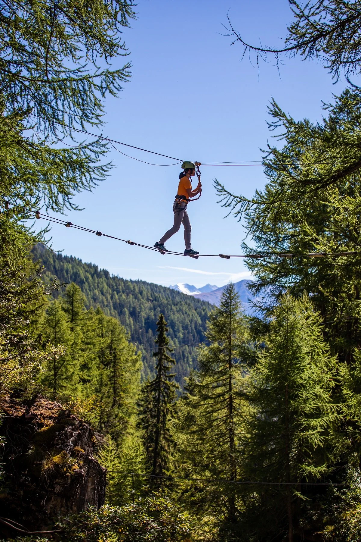 tree_walk.jpg