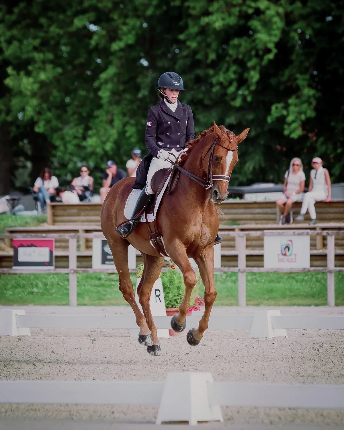 Macon-Dressage-July2020-KateMacLeodPhotography_21.jpg