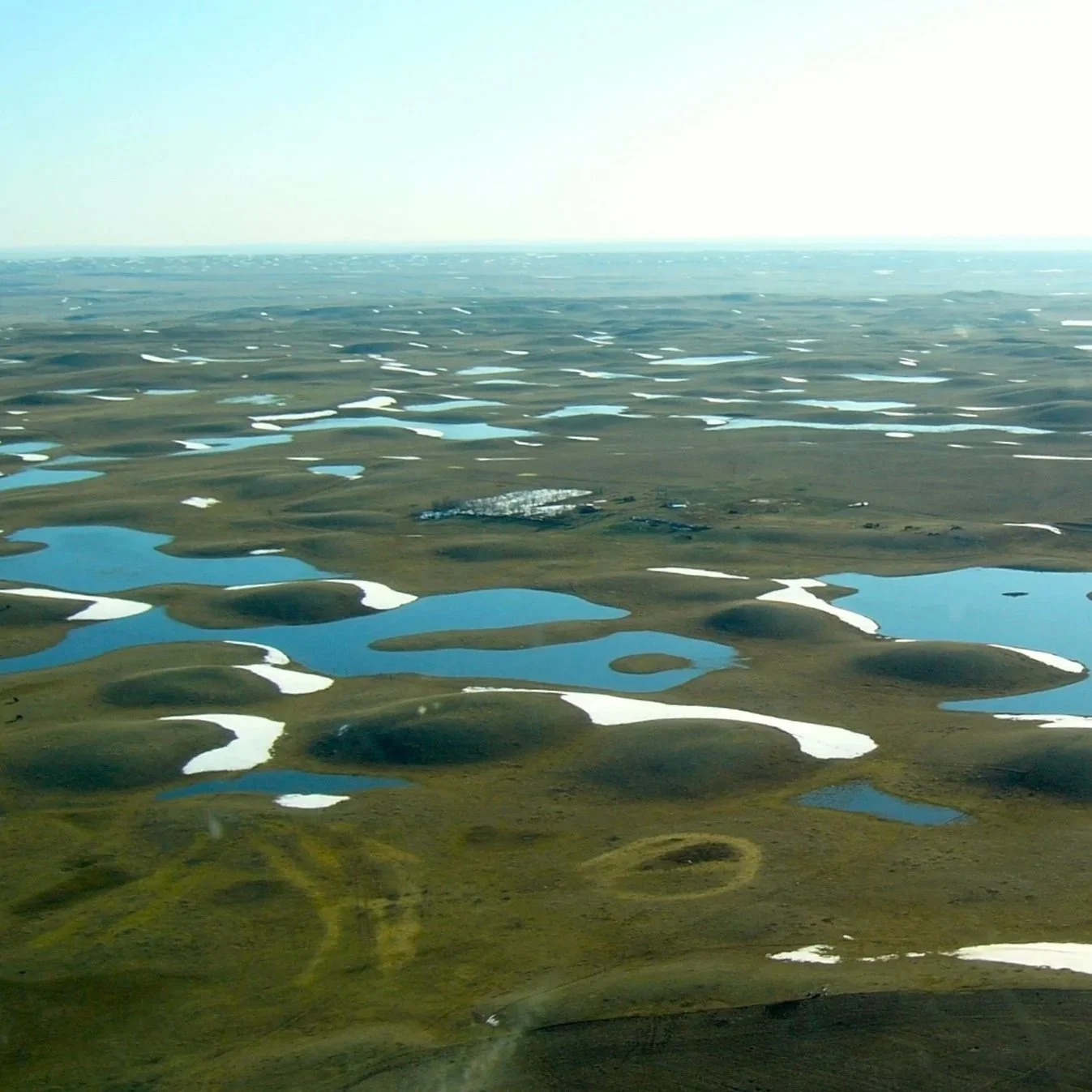 Prairie Pothole Region landscape showing high wetland density.