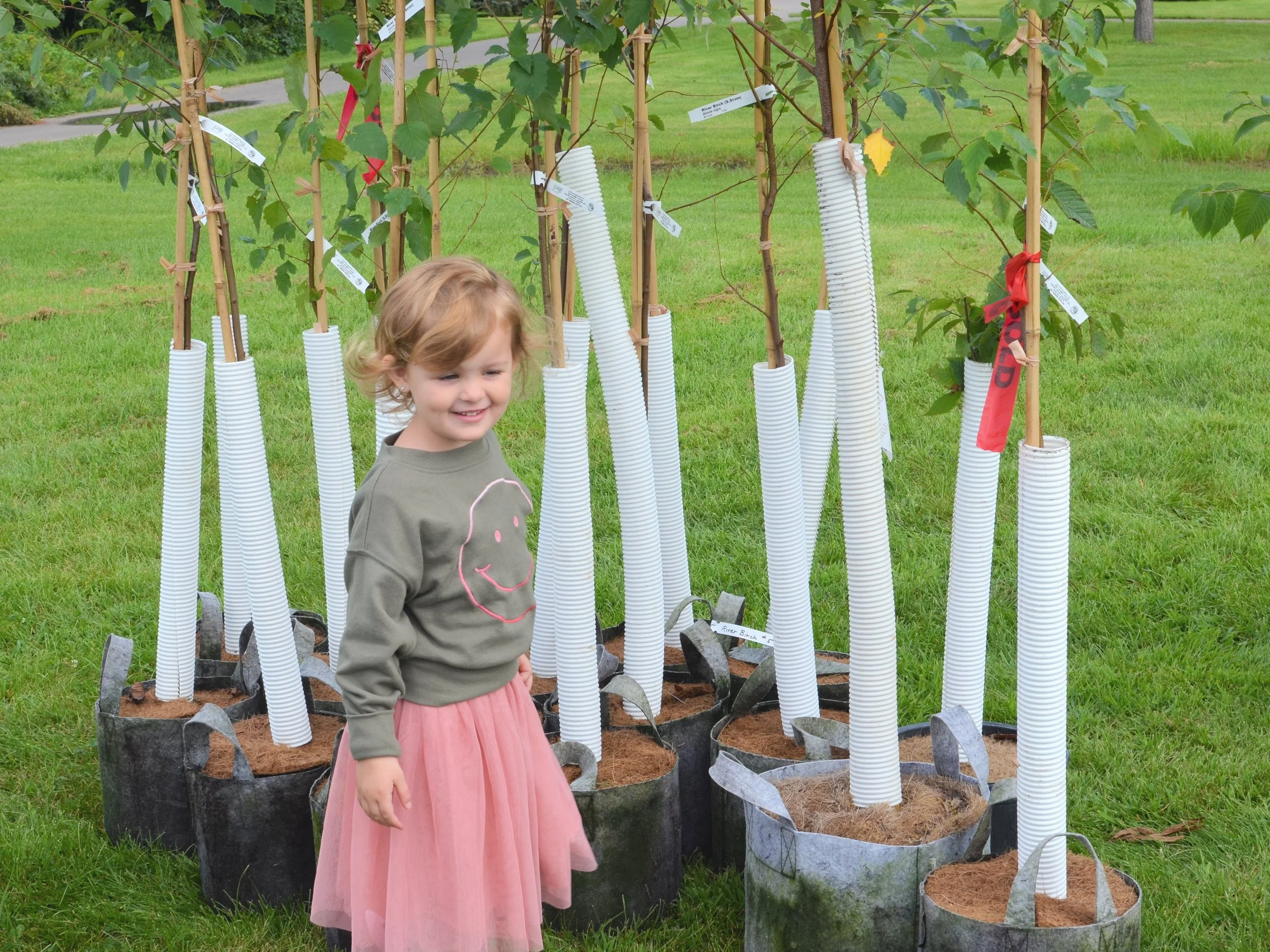 BC Tree Giveaway_Phil Davies2.jpg