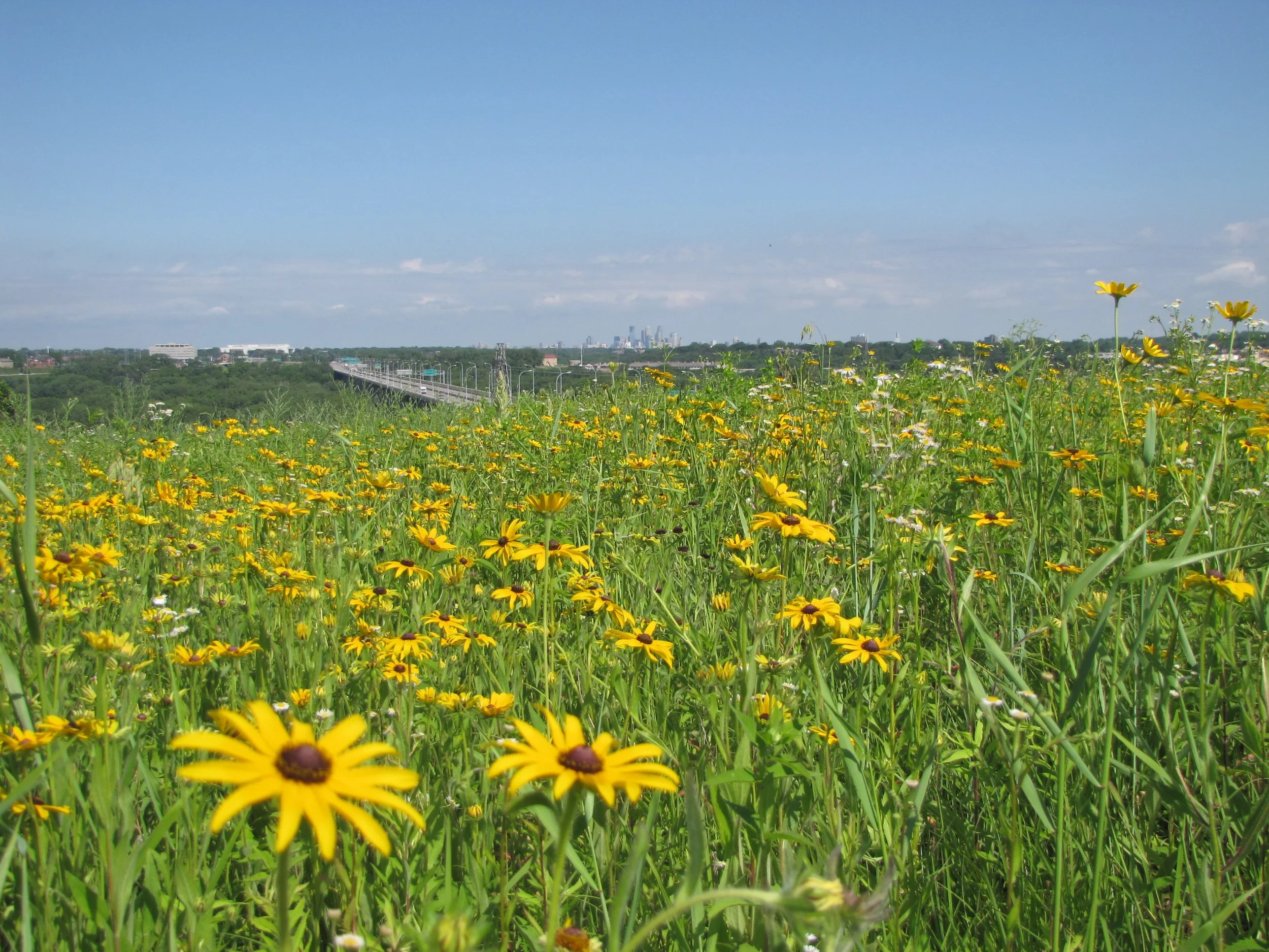 Pilot Knob_YEAR_AFTER.JPG