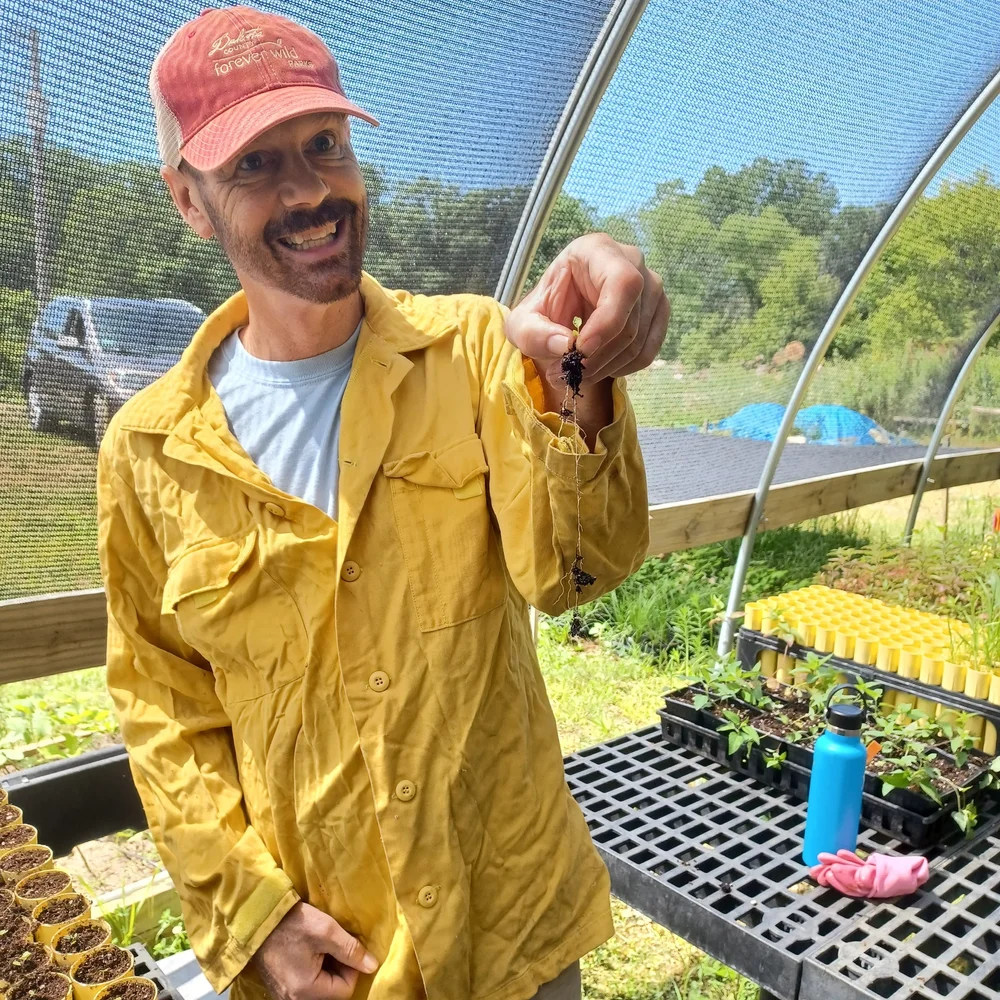 Violets, Butterflies, and Bison—Restoring the Prairie Ecosystem — Great ...