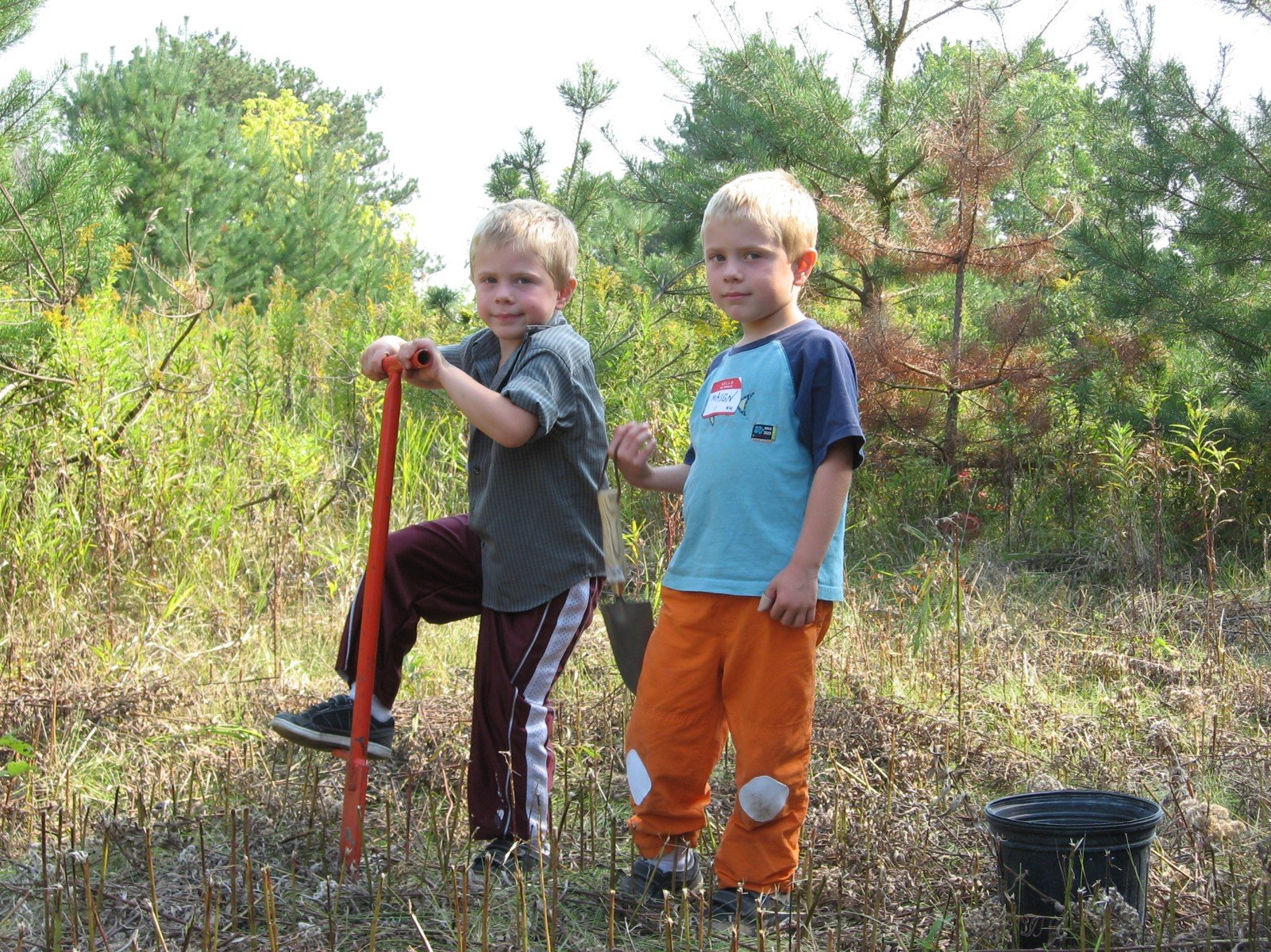 Wiley's twins help plant acorns at Afton State Park during the Million Acorn Campaign in 2008