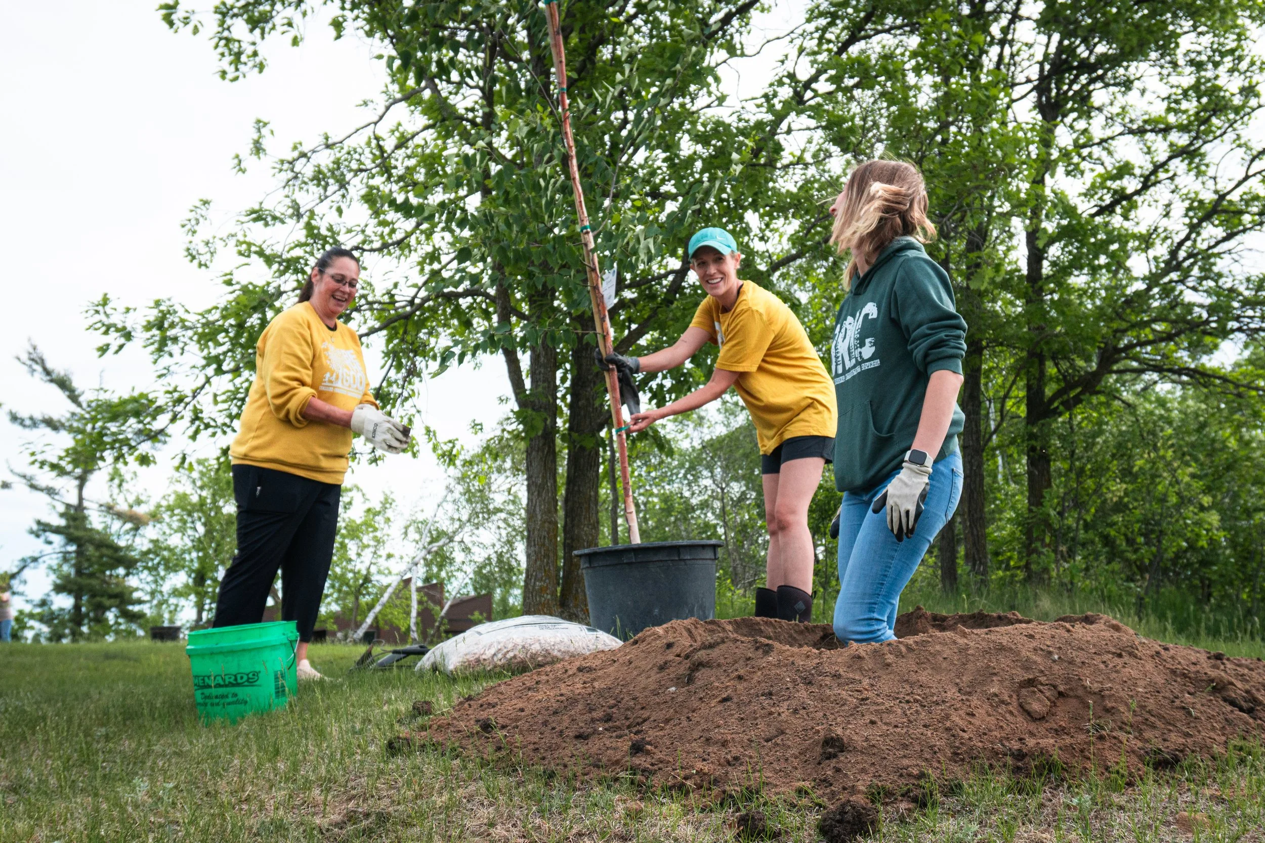 Rebuilding Tree Canopy in Bemidji After Devastating Loss&nbsp;