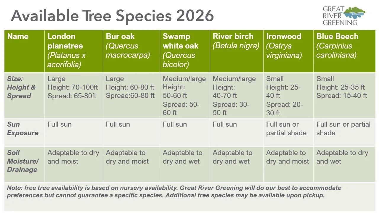 Table of available tree species with descriptions.