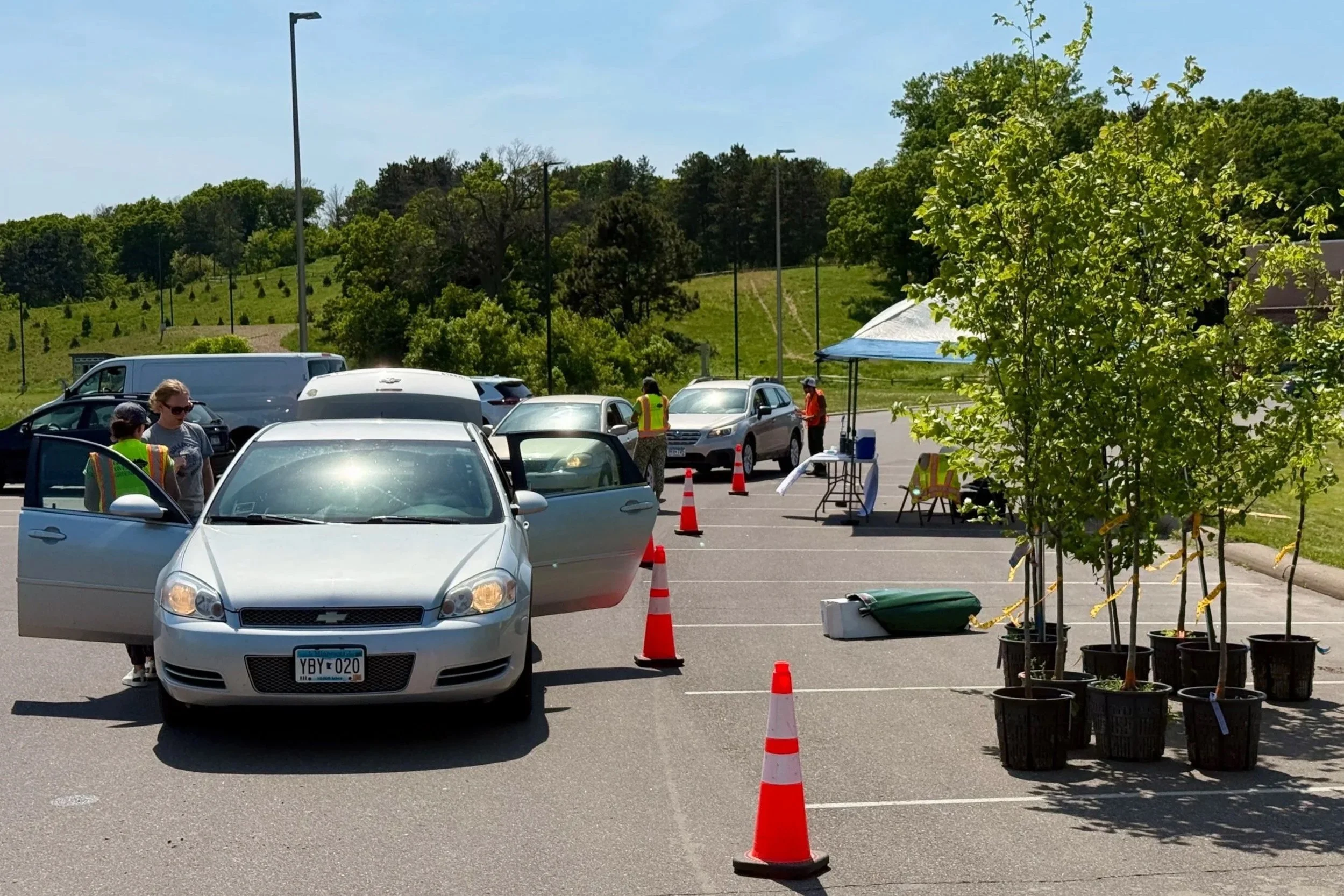 Cars drive up to the tree giveaway in Saint Paul.
