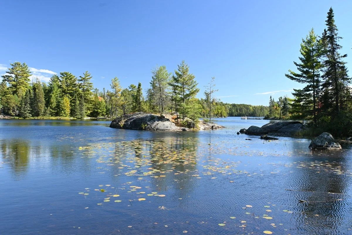 Healthy Waters Initiative — Great River Greening