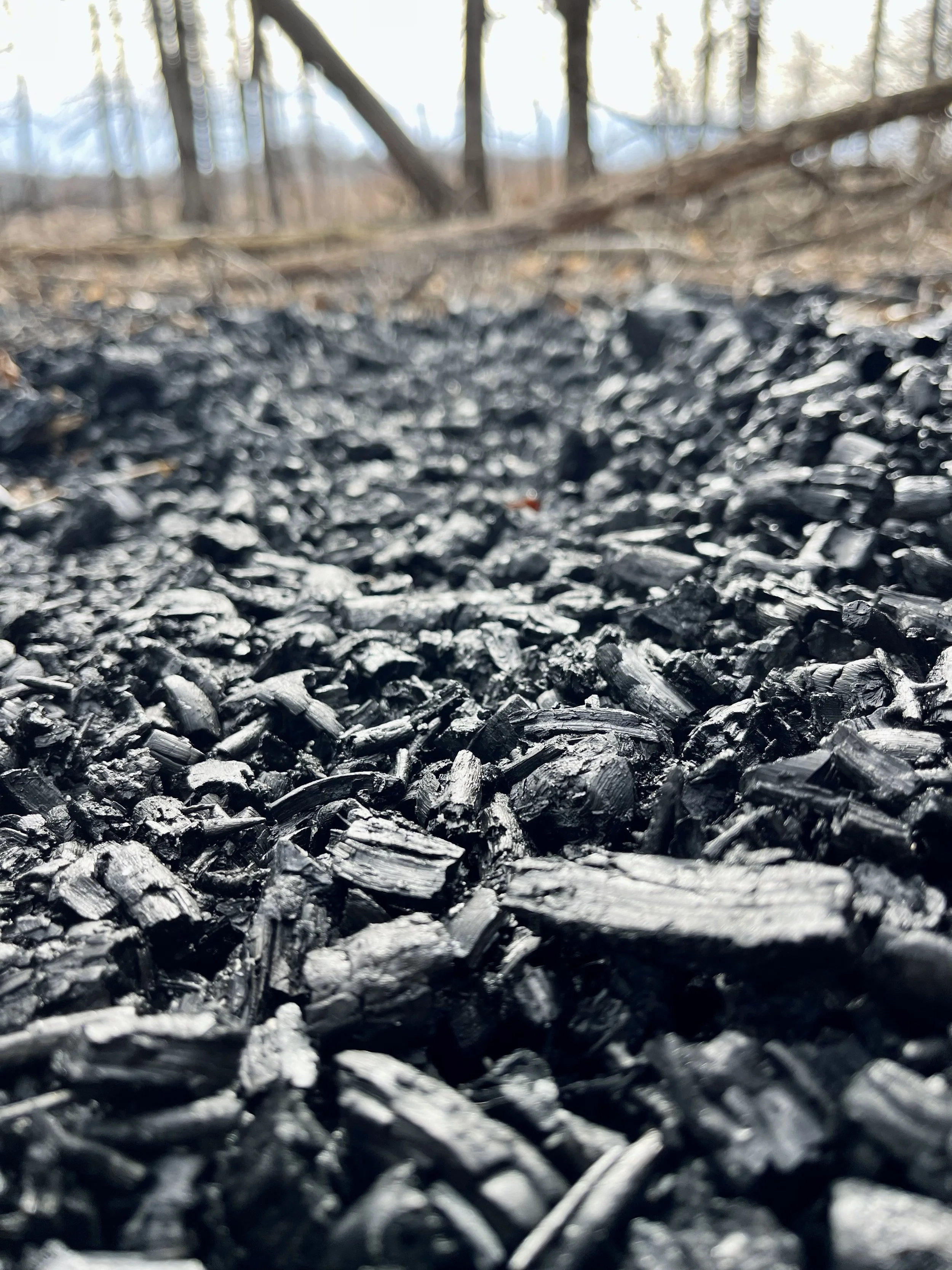 Biochar — Great River Greening