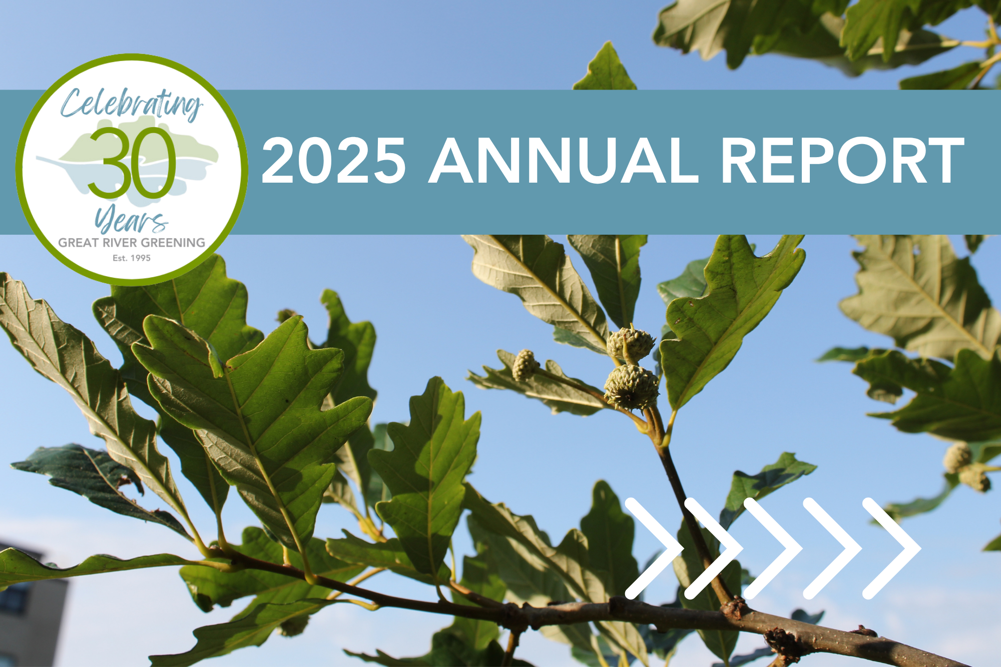 2025 Annual Report Web Image.png
