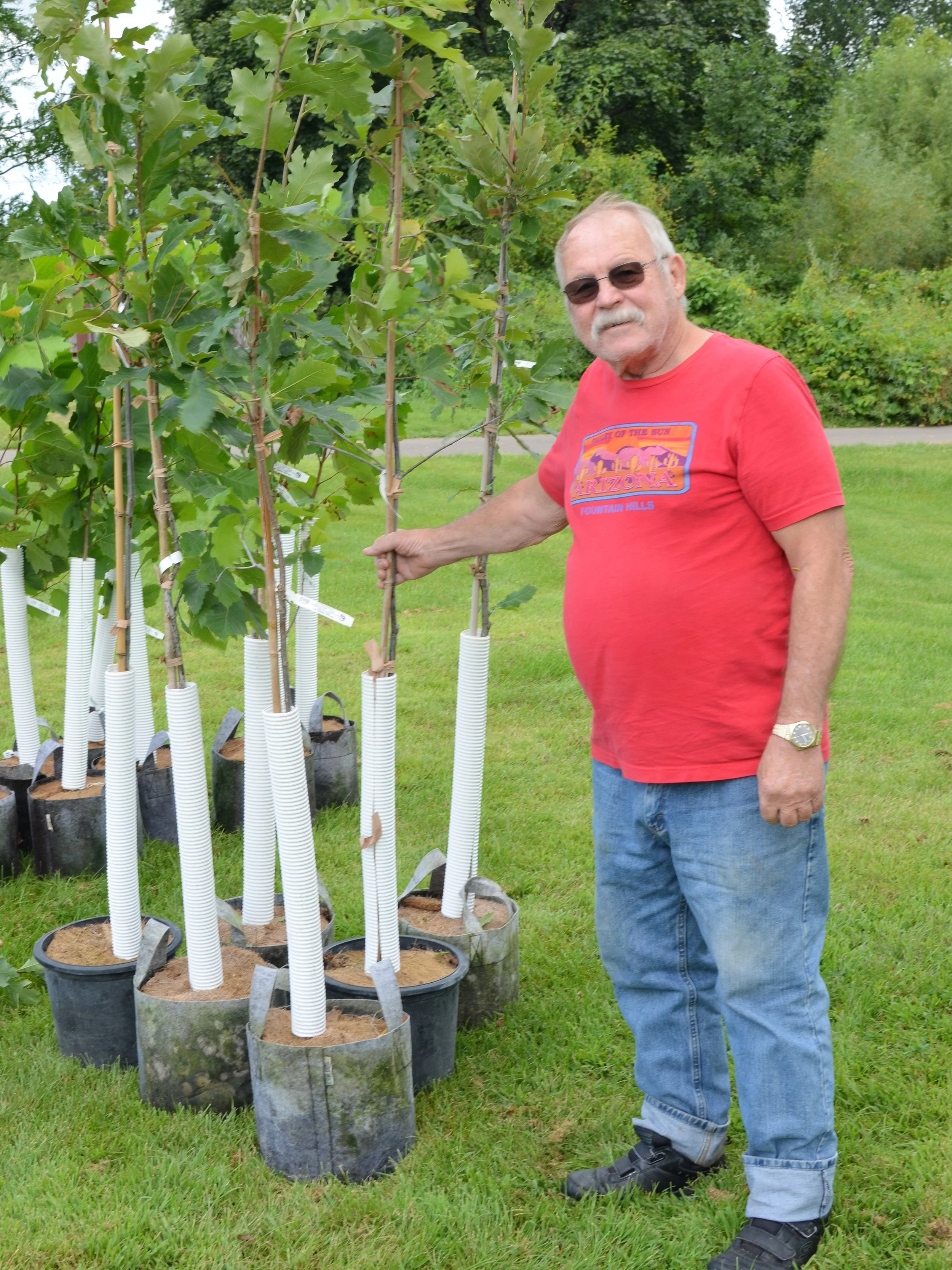 BC Tree Giveaway_Phil Davies5.jpg