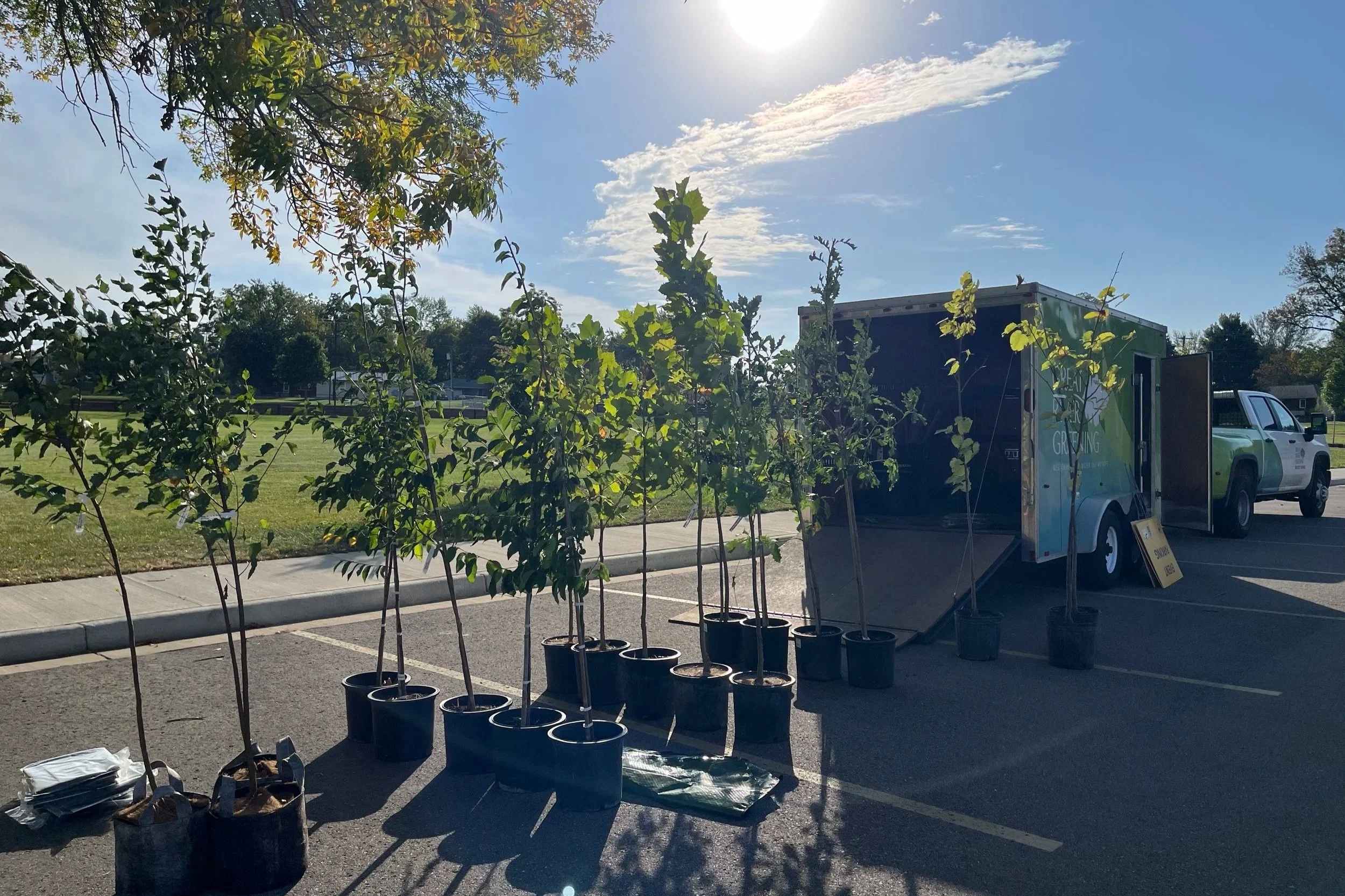 Trees outside of a Great River Greening truck during the Faribault Giveaway event.
