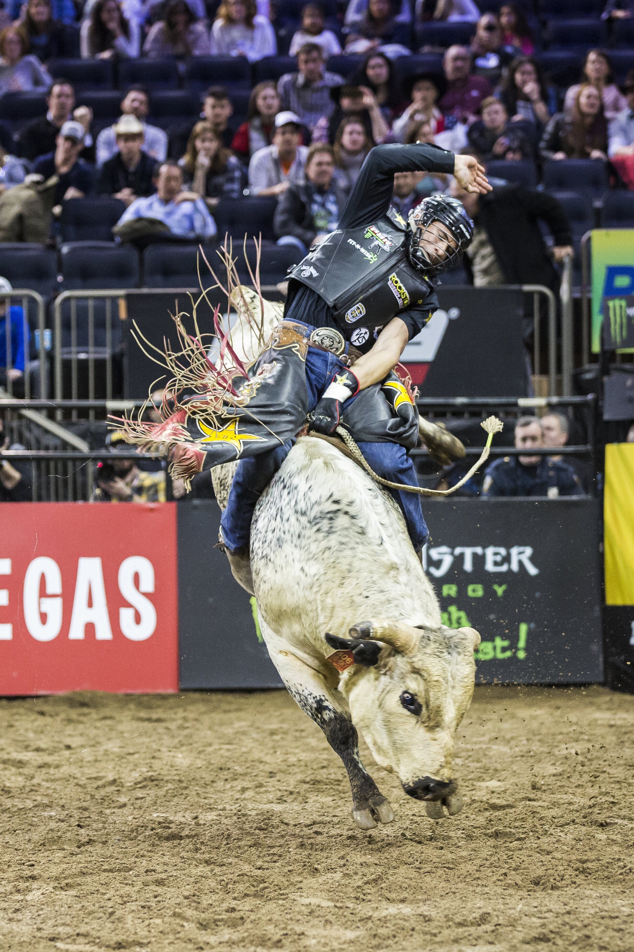 Professional Bull Rider; 2019