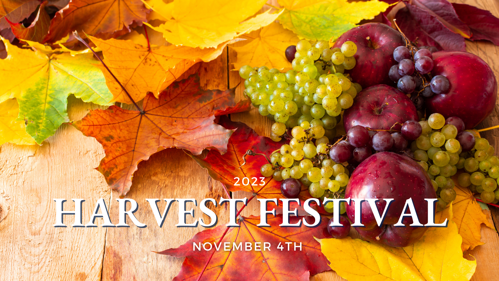 Harvest Festival Supporting Feeding Chittenden Shelburne Vineyard