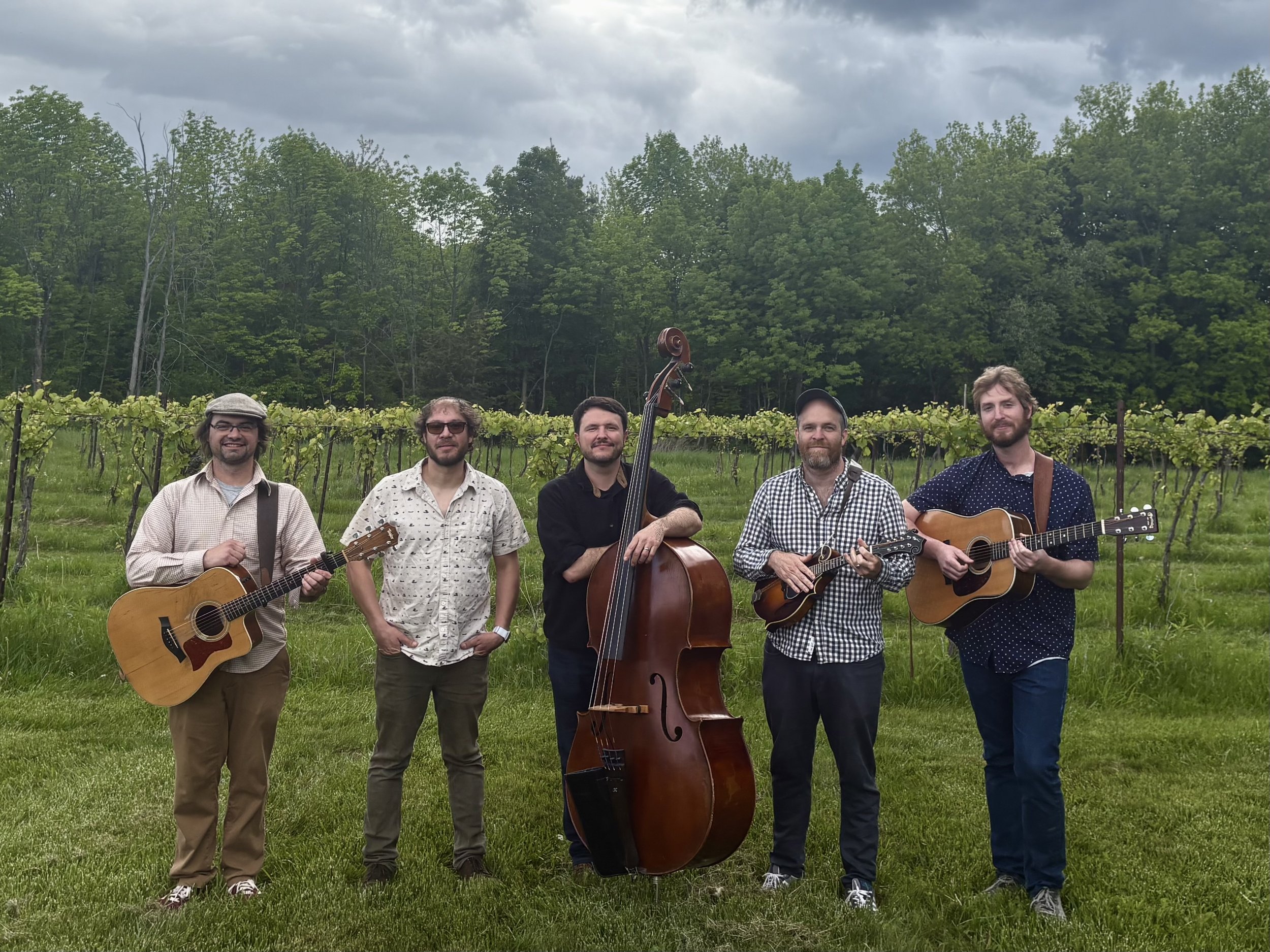 The Tenderbellies