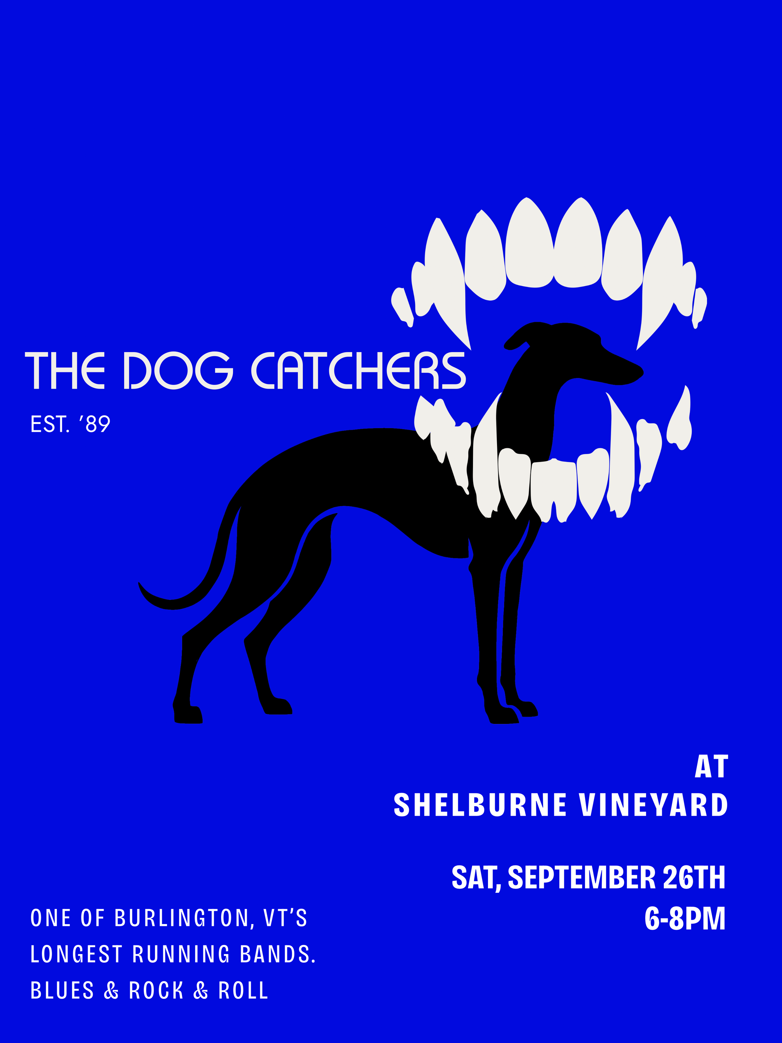 The Dog Catchers