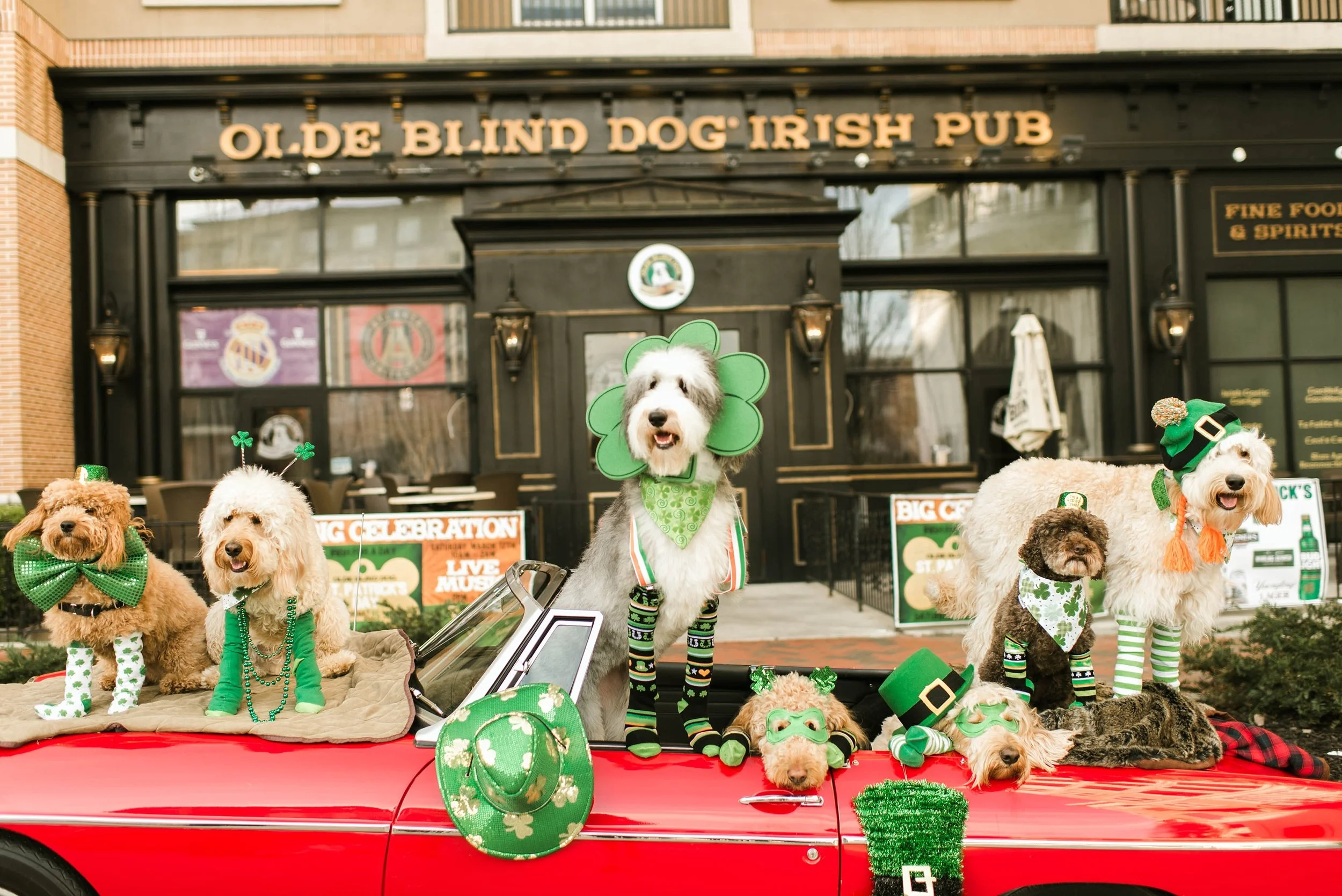 A Doodle St Patricks Day!