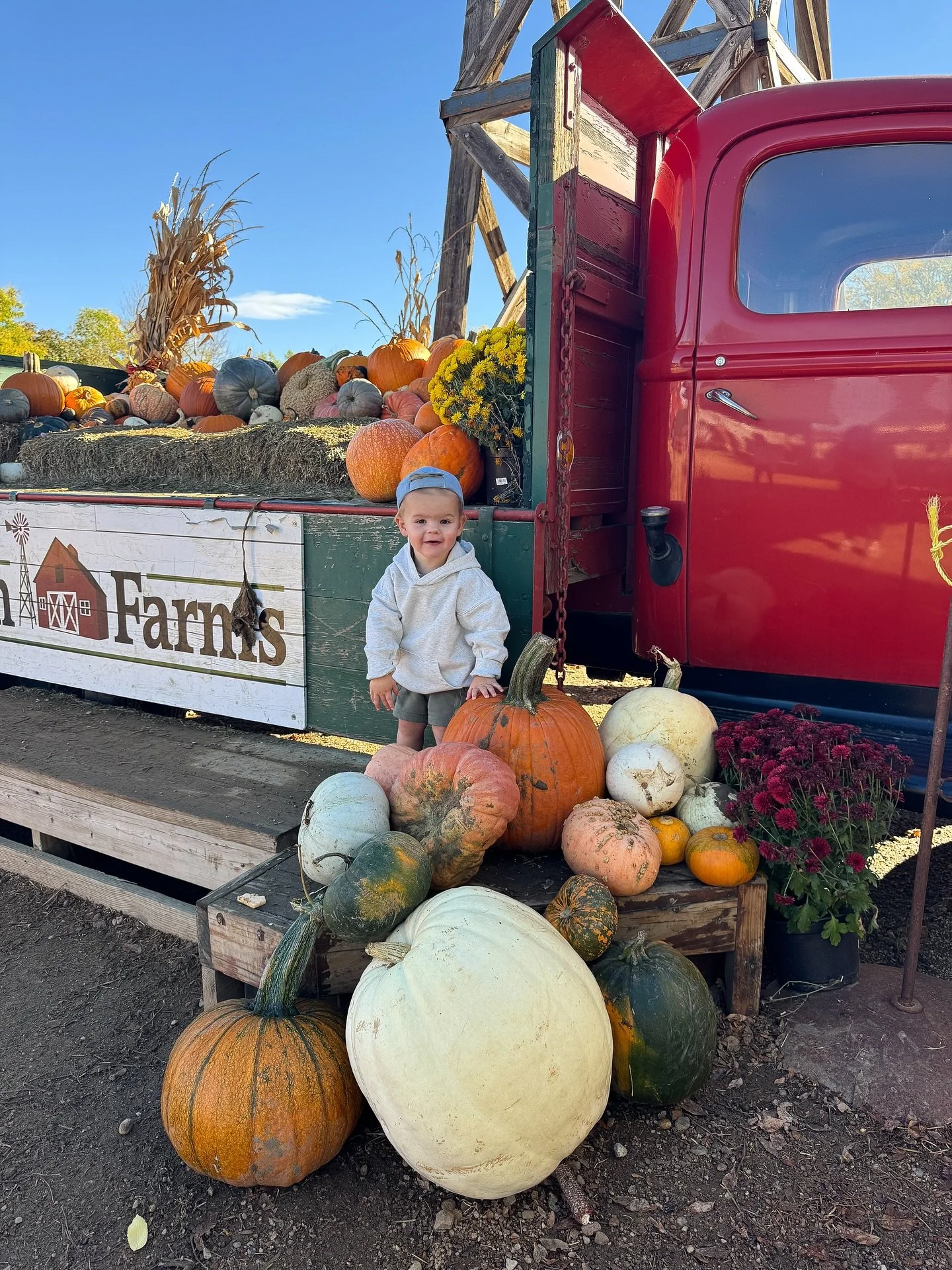Ryder&rsquo;s first trip to the pumpkin patch🎃🍂