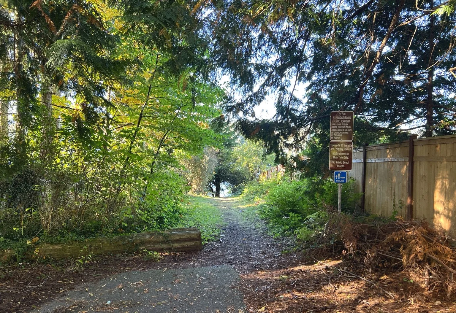 Sanwick_Wooded_Beach_Path_Edited.jpg