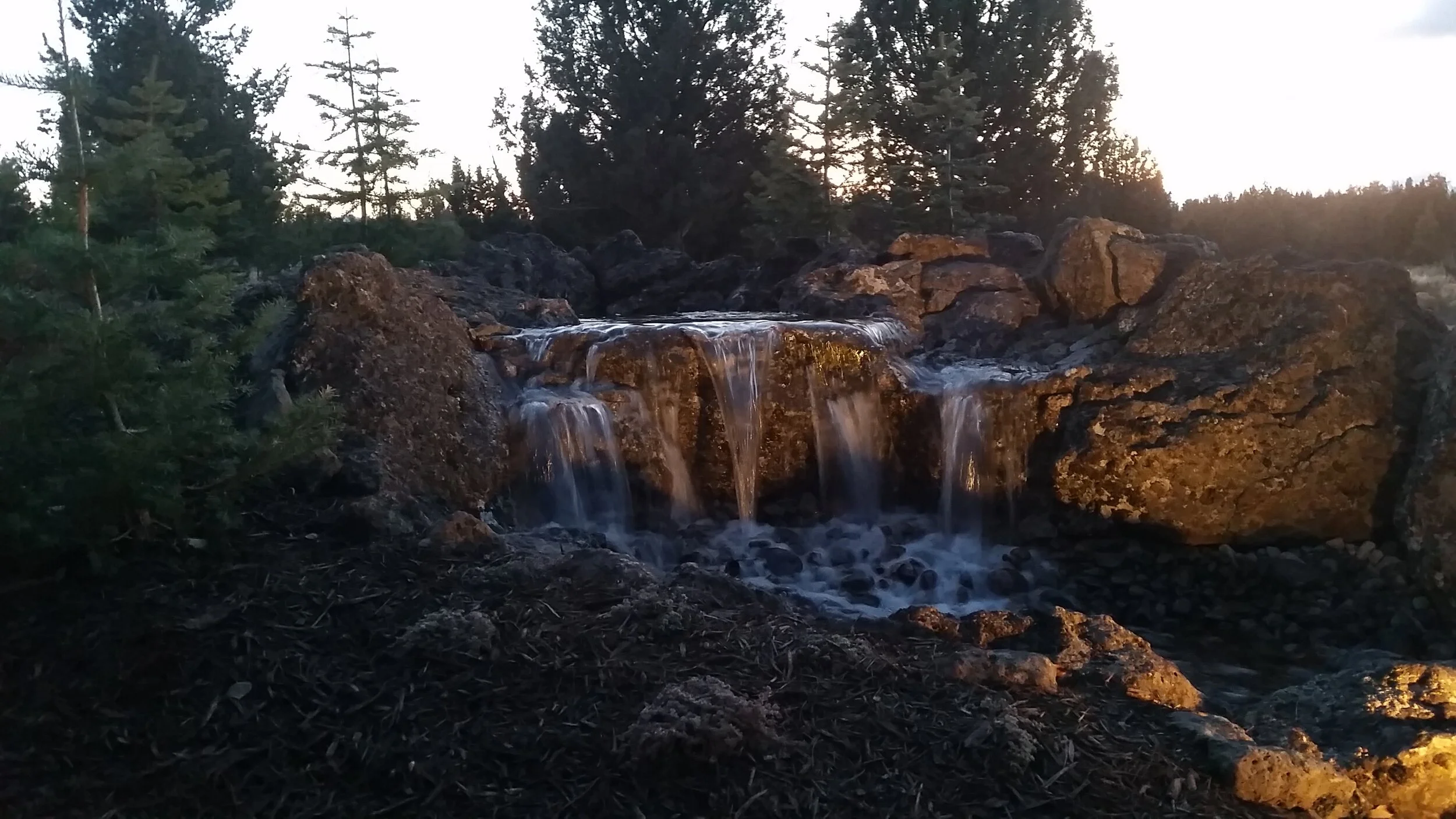 20171117_165309.jpg
