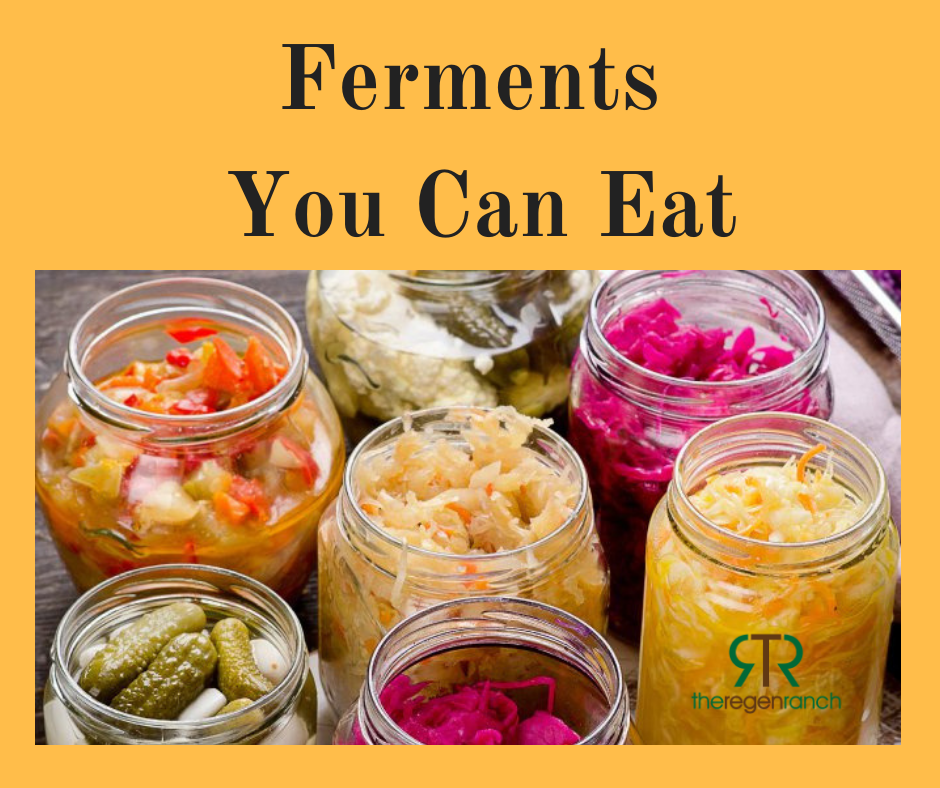 Ferments You Can Eat .png