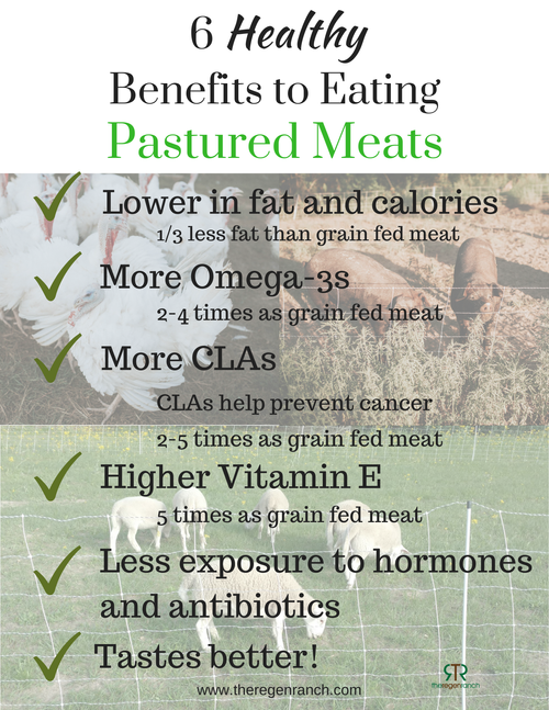 Image showcasing 6 Healthy Benefits of Pastured Meats — the regen ranch