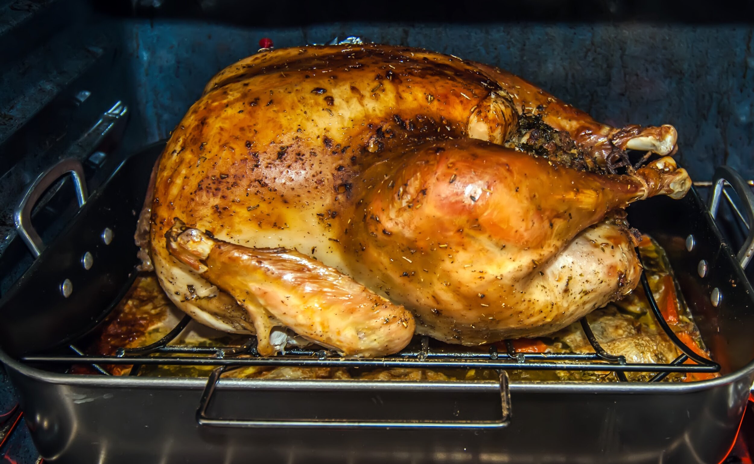 thanksgiving turkey 1.jpg