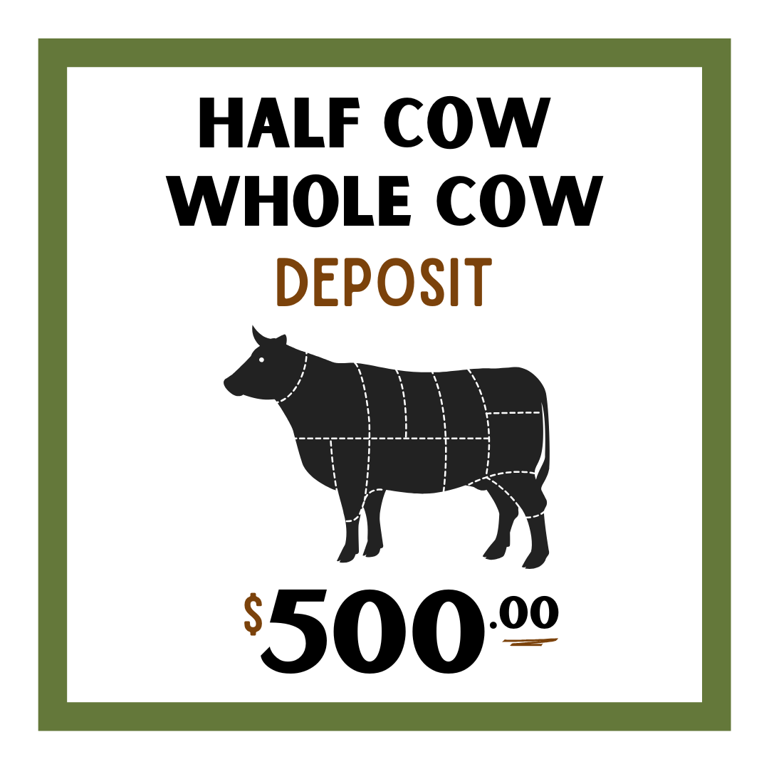 Bulk Beef Price (1).png