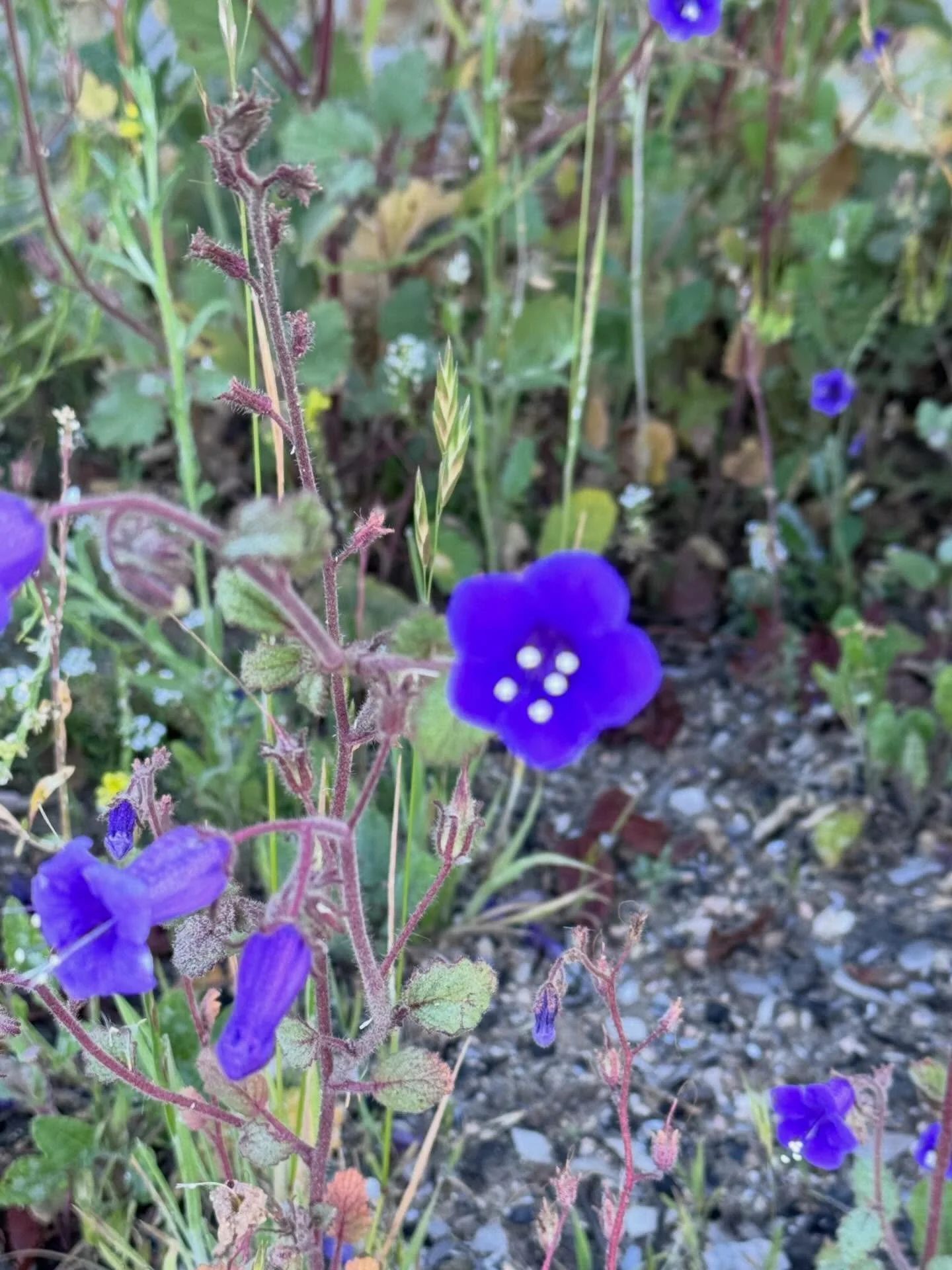 Morning walk&hellip;