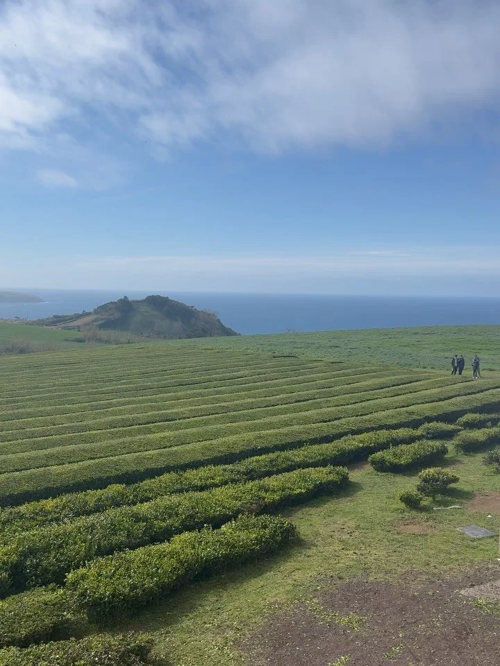 Azores, Portugal🇵🇹