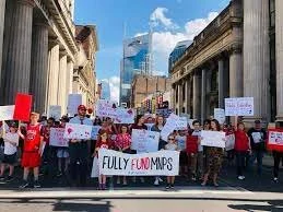 MNEA Organizer Job Description 