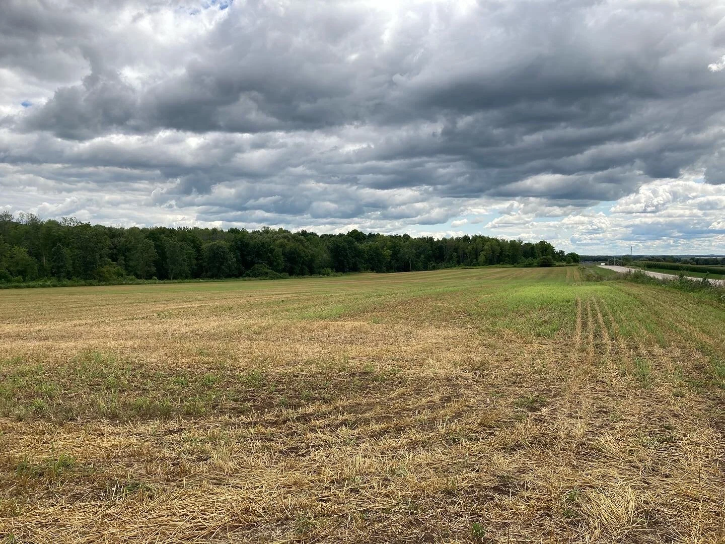 Volunteer to Help Regrade Kolterman Field