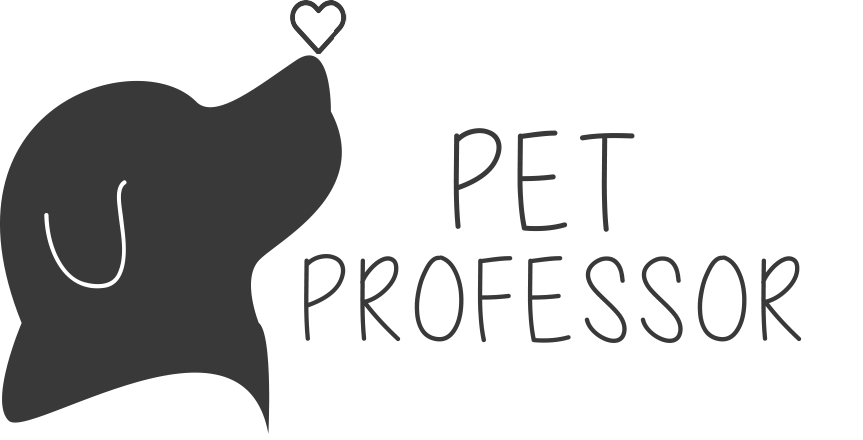 Pet Professor