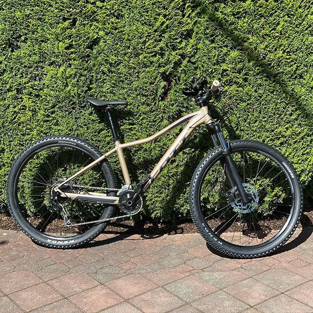 ✨All that glitters is gold ✨
Looking at getting started mountain biking? this is an amazing entry level ride for the ladies/girls out there! 
The Contessa Active 20 has an alloy frame, RockShox 100 mm Fork, RideLoc 2-Position Remote and Shimano Deore