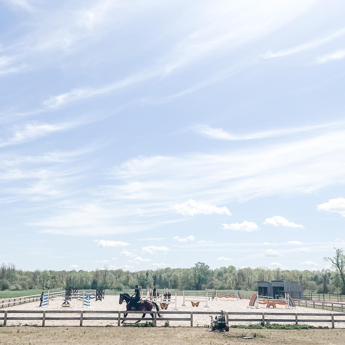 ⛵️🦋🌈 #springtraining #brodyrobertsonshowjumps #showjumping #showhorses #ottawahorsefarms