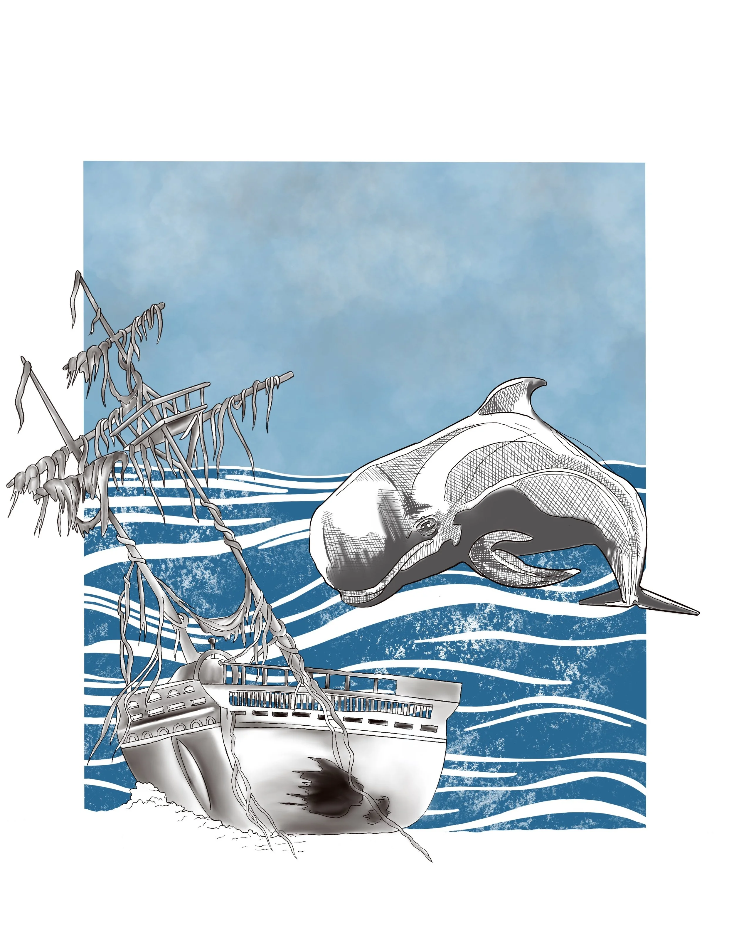 Whale_2.jpg