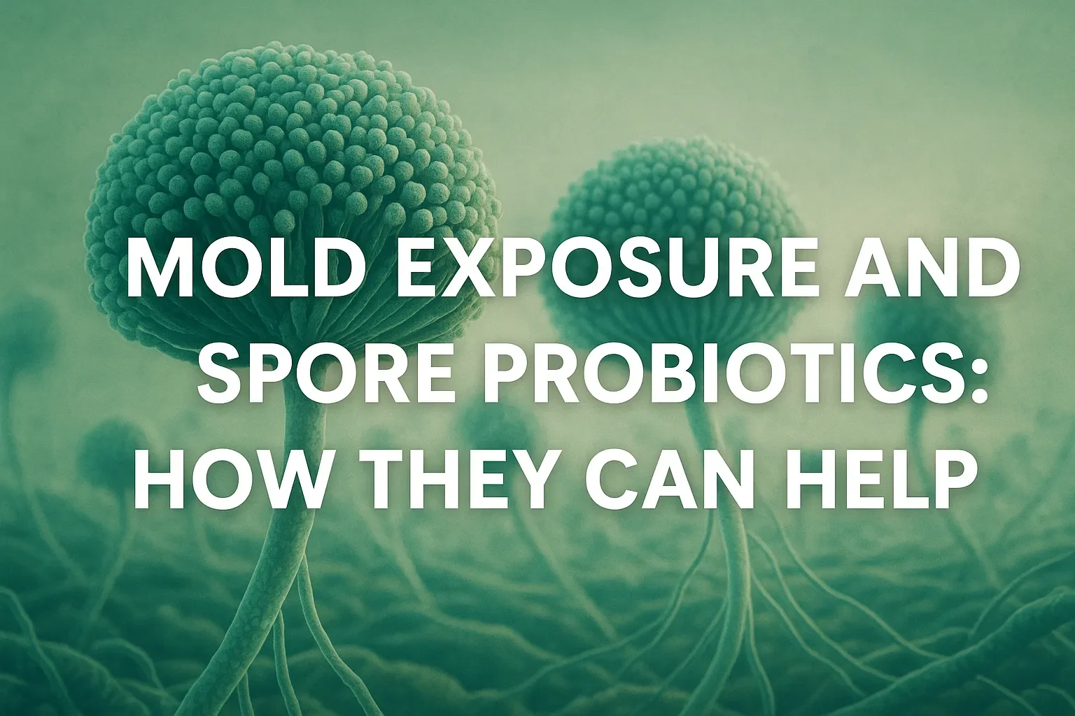 Mold Exposure and Spore-Based Probiotics