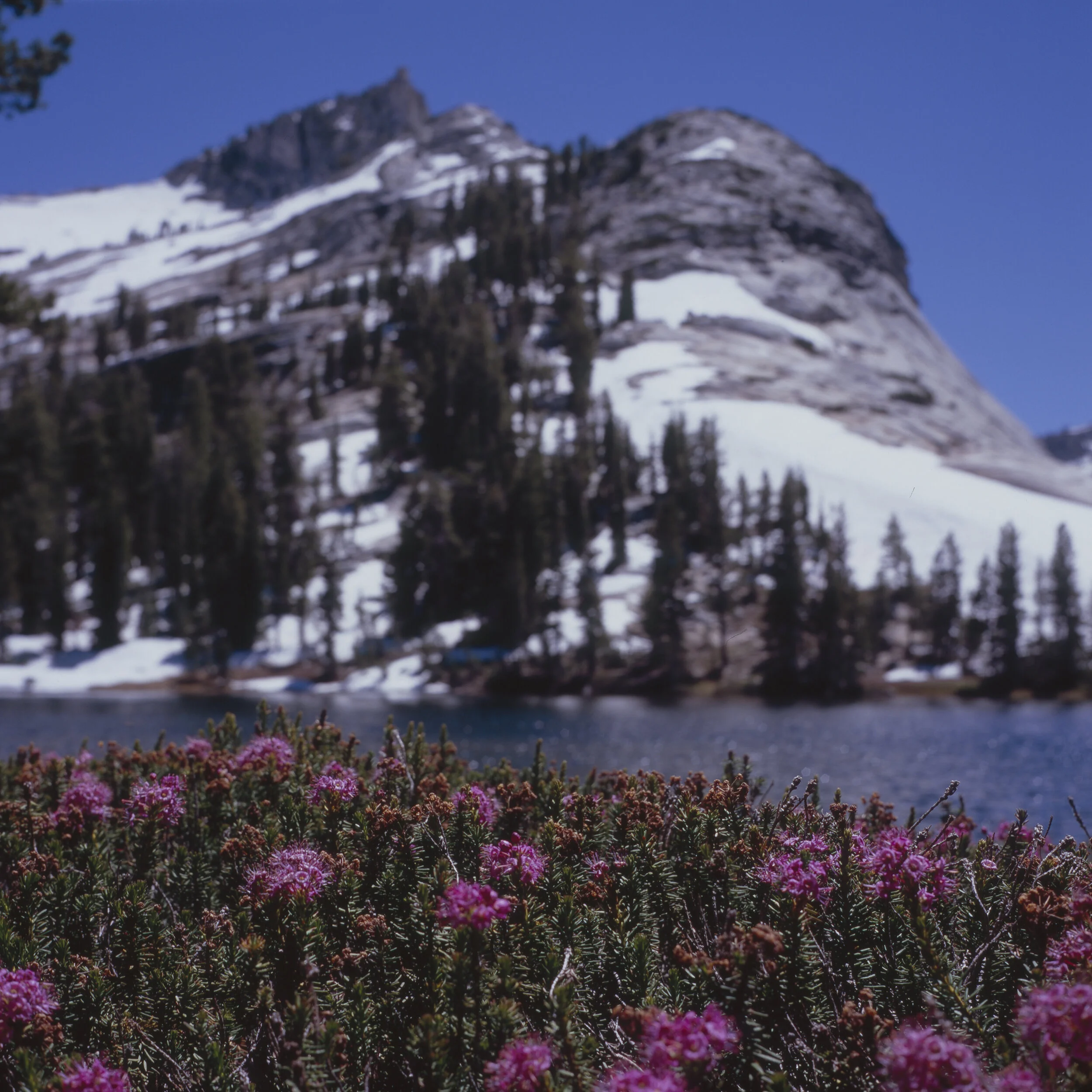 CA2011_Scans0189.jpg