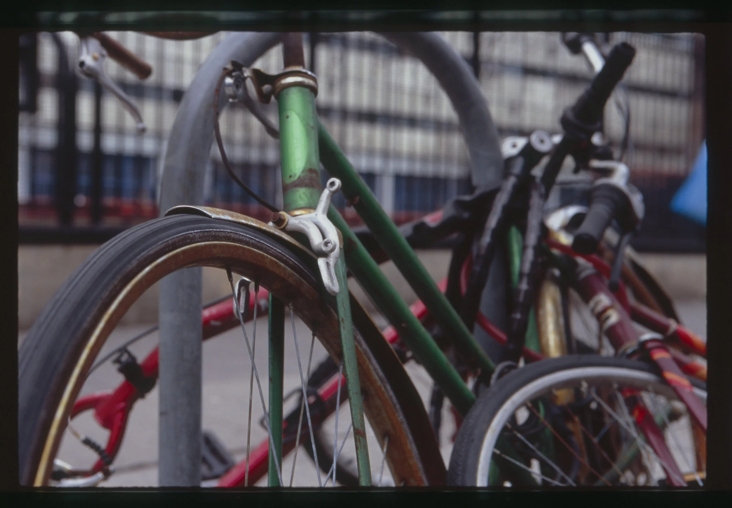 QL17_Provia_7.27.11_31.jpg