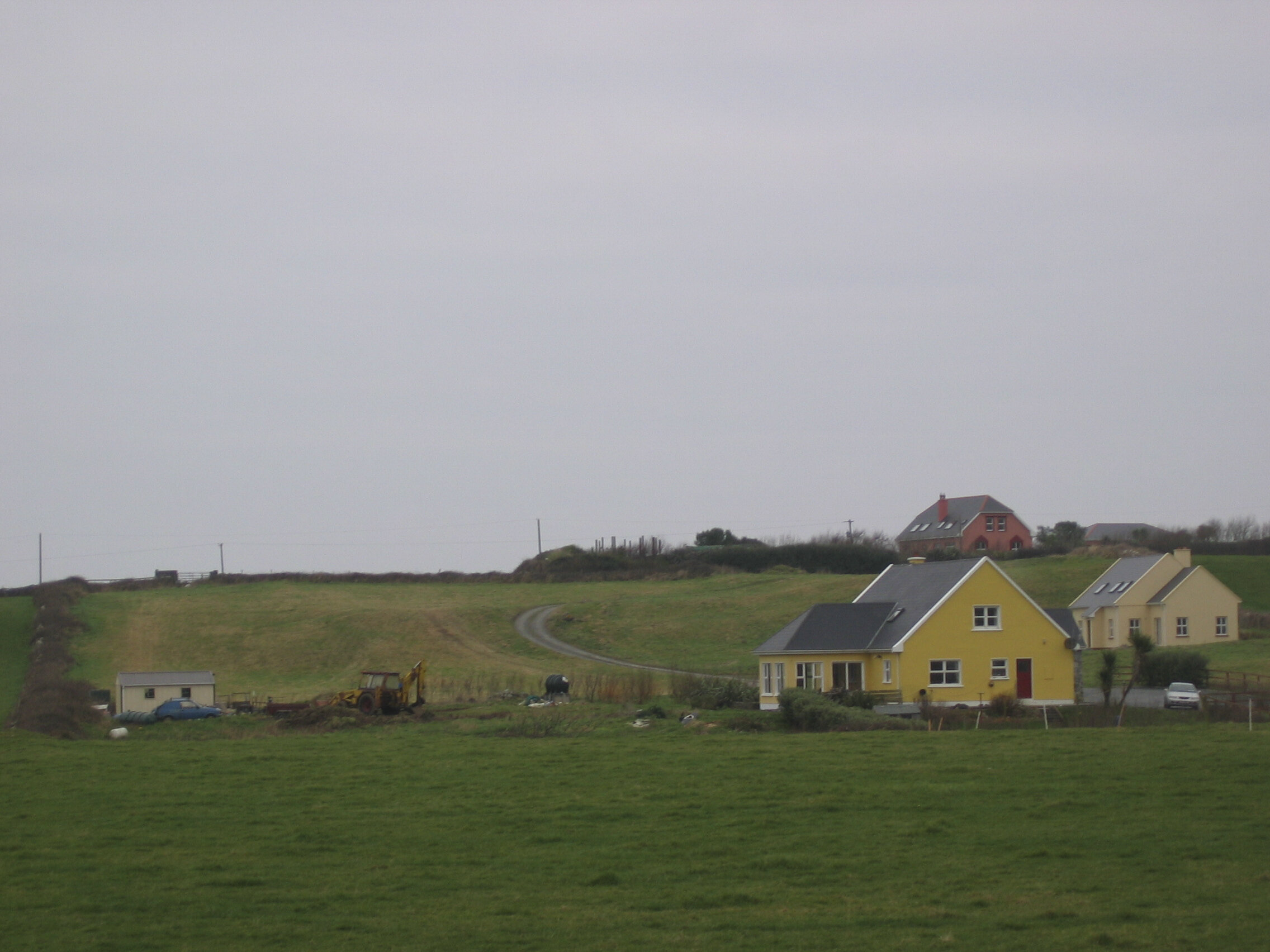 IMG_2215.jpg