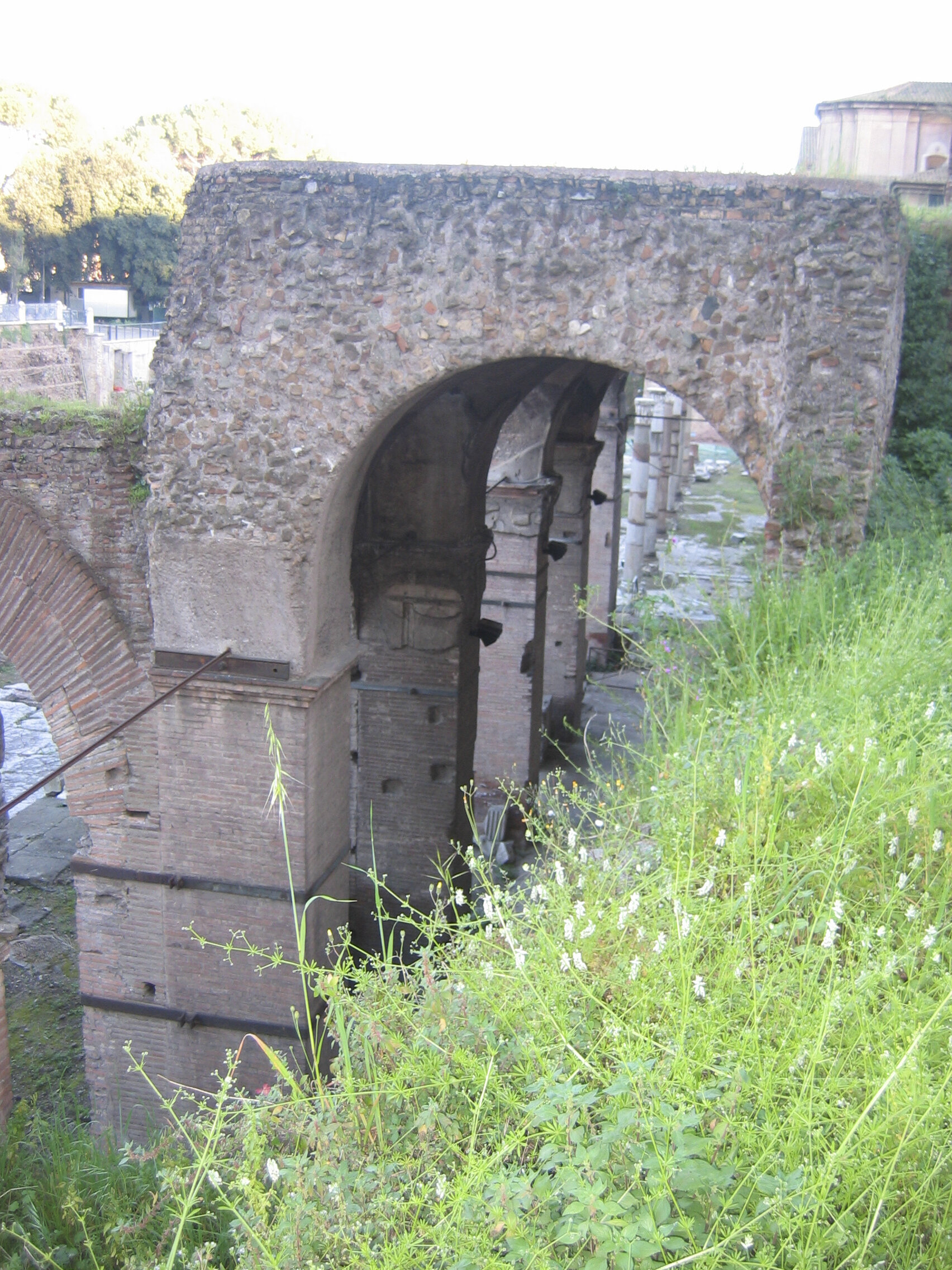IMG_3235.jpg