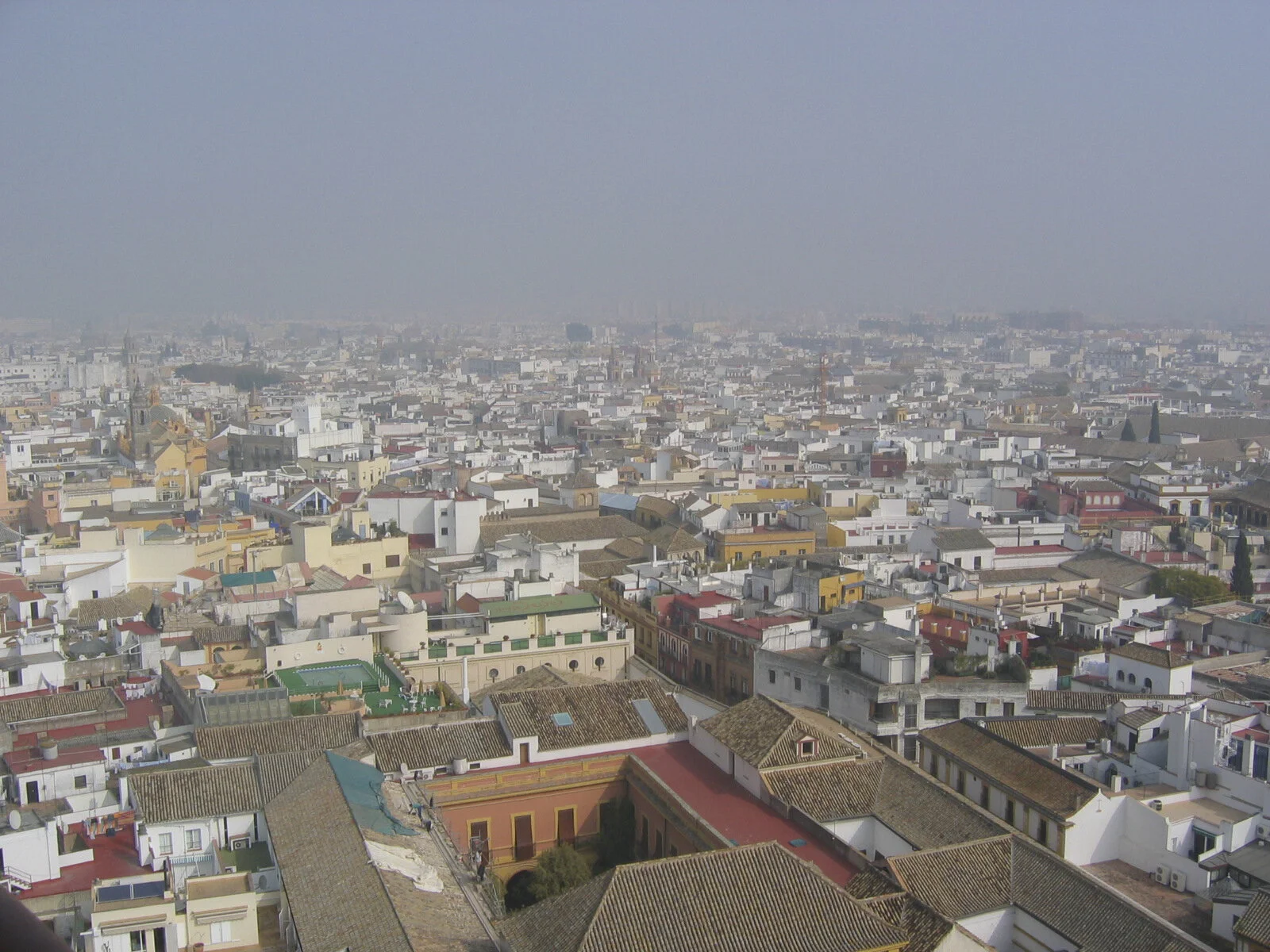 IMG_2571.jpg